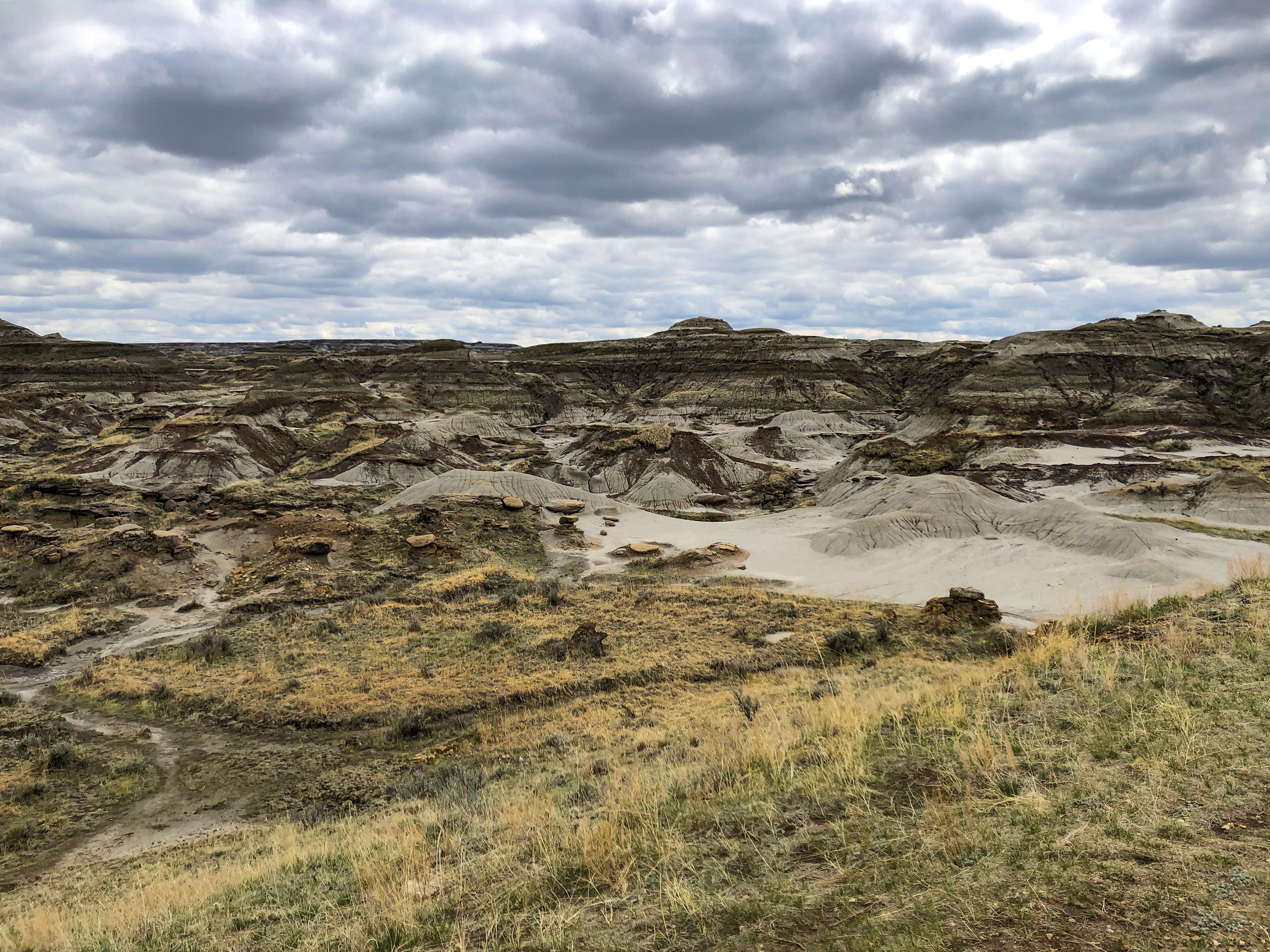 Scenic Loop trail canyons and rock formations Dinosaur Provincial Park Alberta