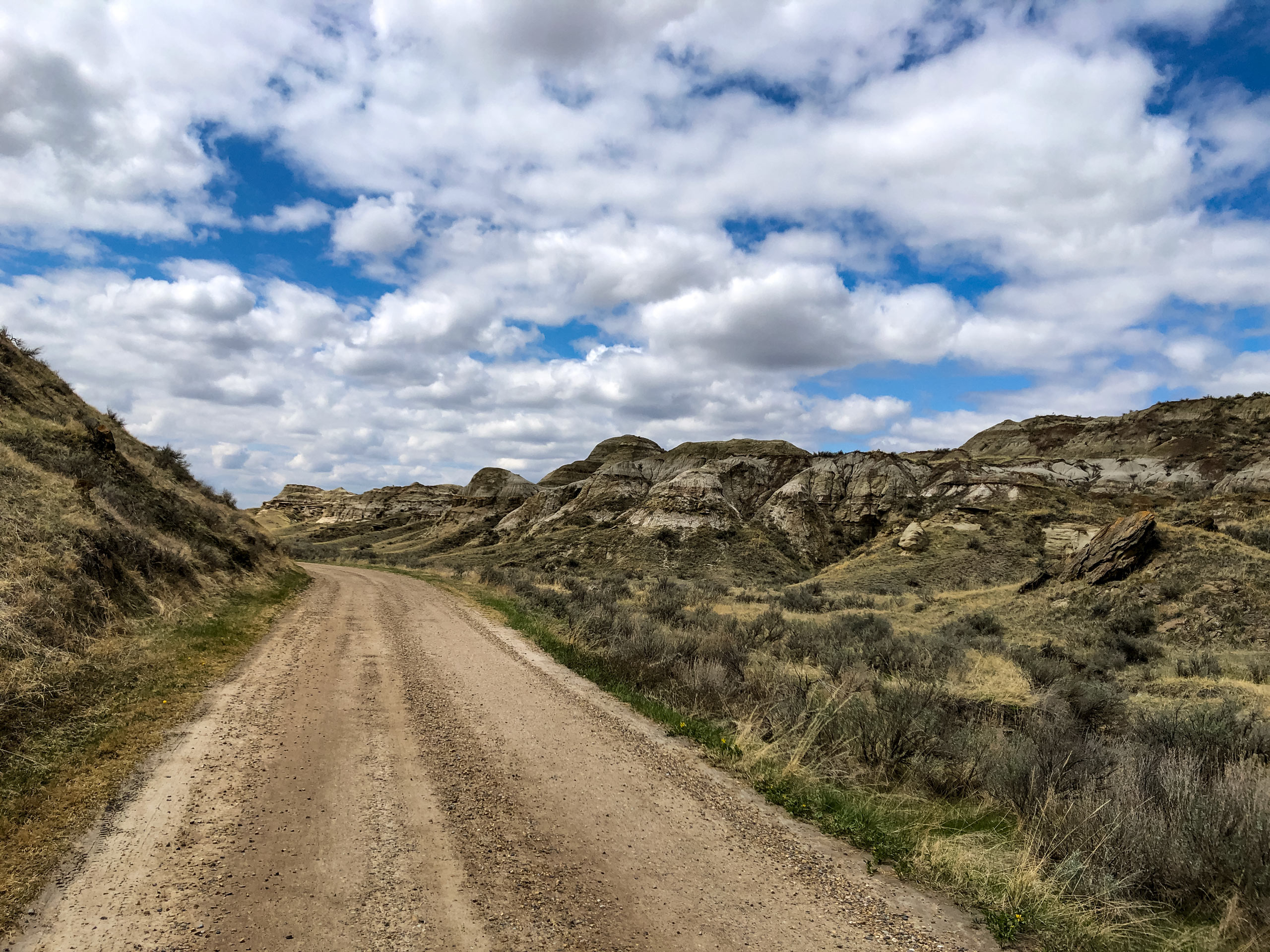 Dirt gravel read Scenic Loop trail in Dinosaur Provincial Park Alberta