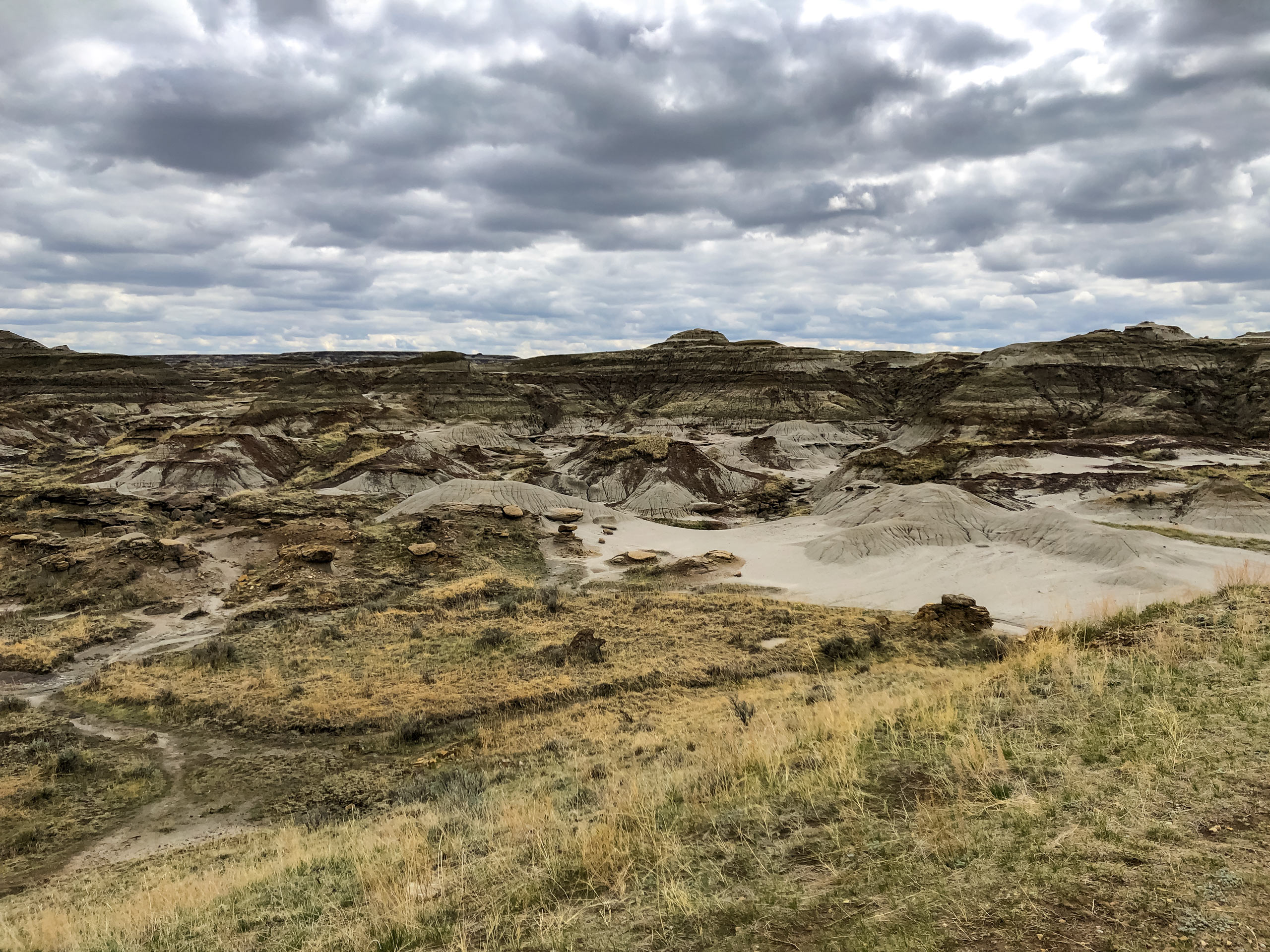 Hiking Trail of the Fossil Hunters in Dinosaur Provincial Park Alberta