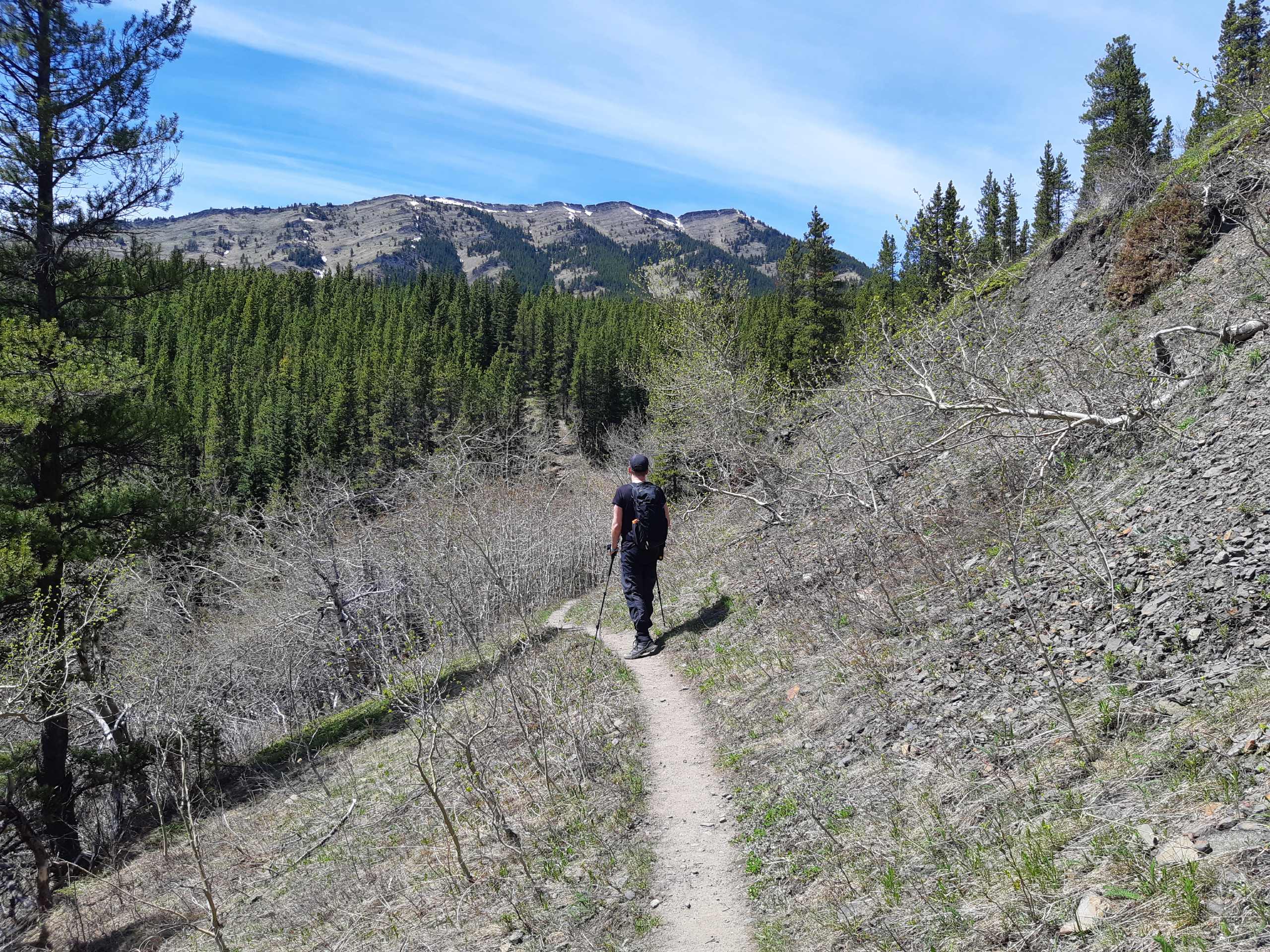 Approaching the Raspberry hill (ridge in the background)