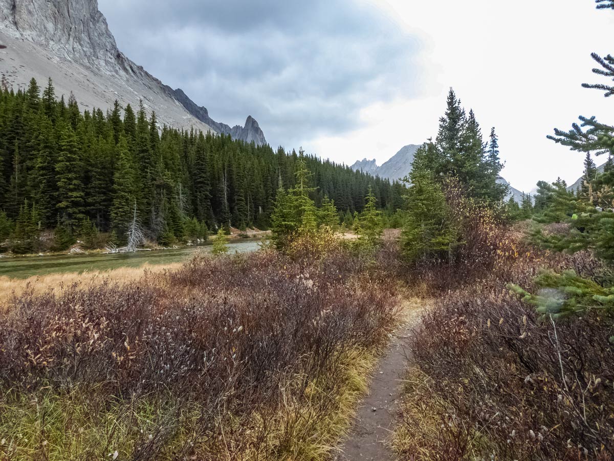 Falls trail hiking walking trail in Kananaskis Alberta