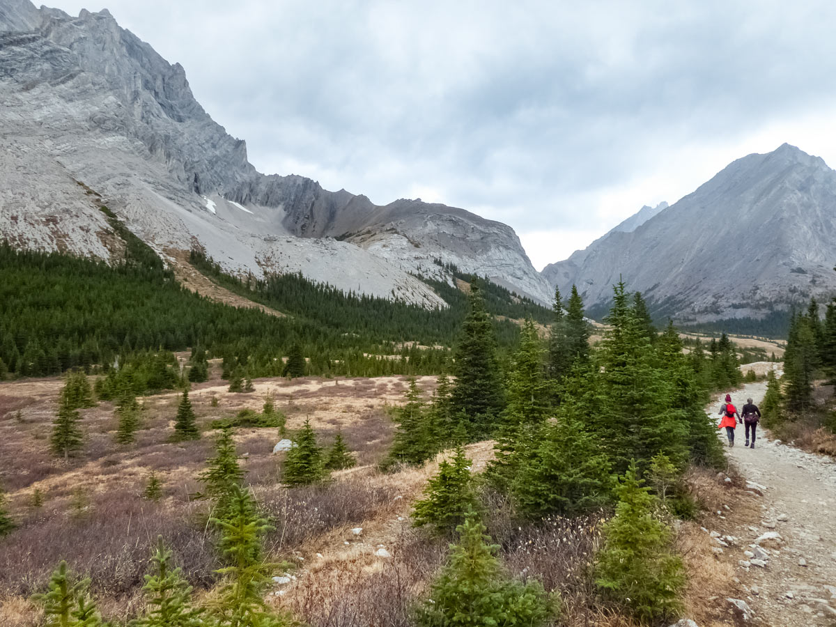 Beautiful trial through the valley along Edworthy Falls trail in Kananaskis Alberta Canada