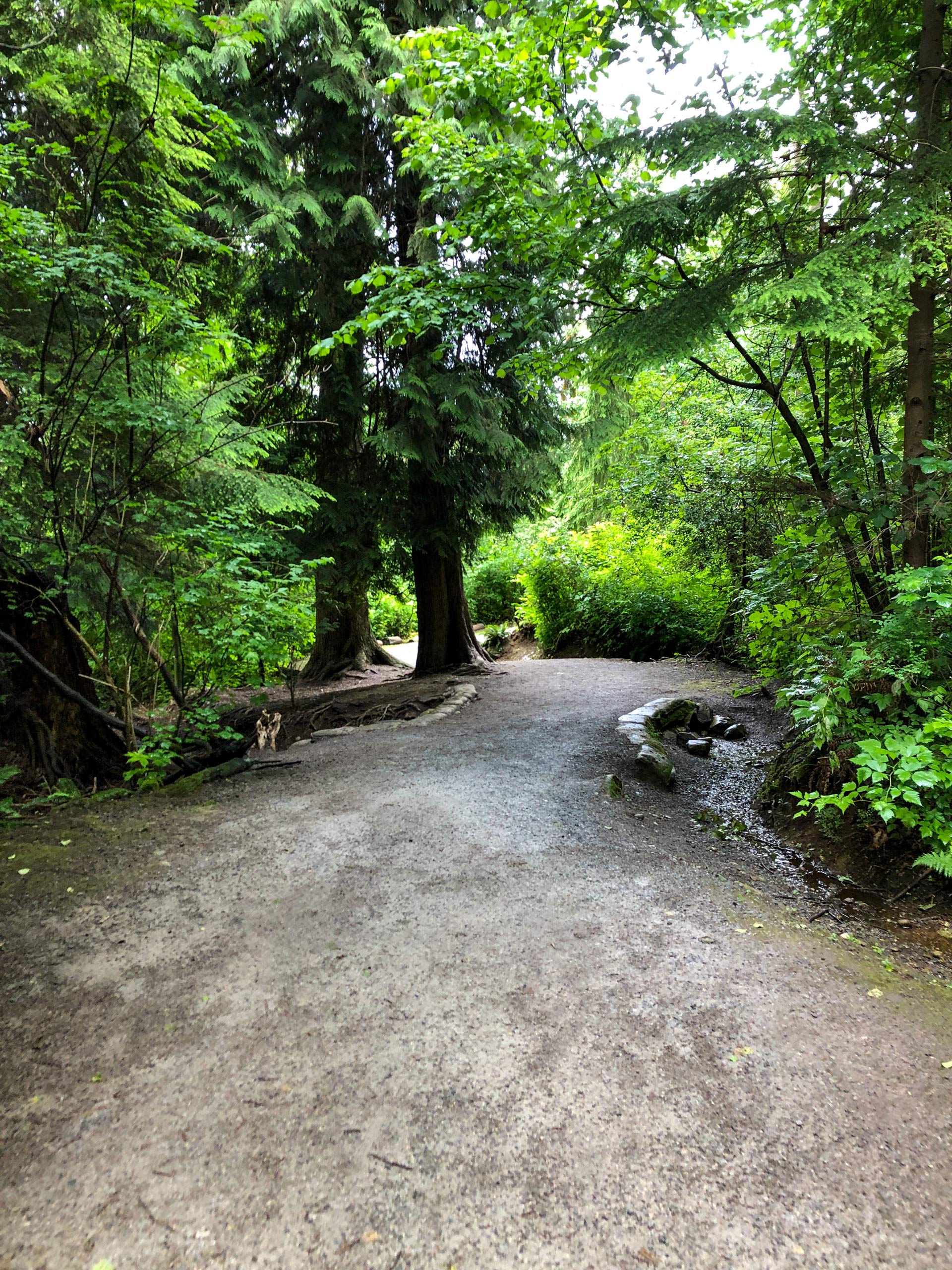 Out geocaching in Confederation Park