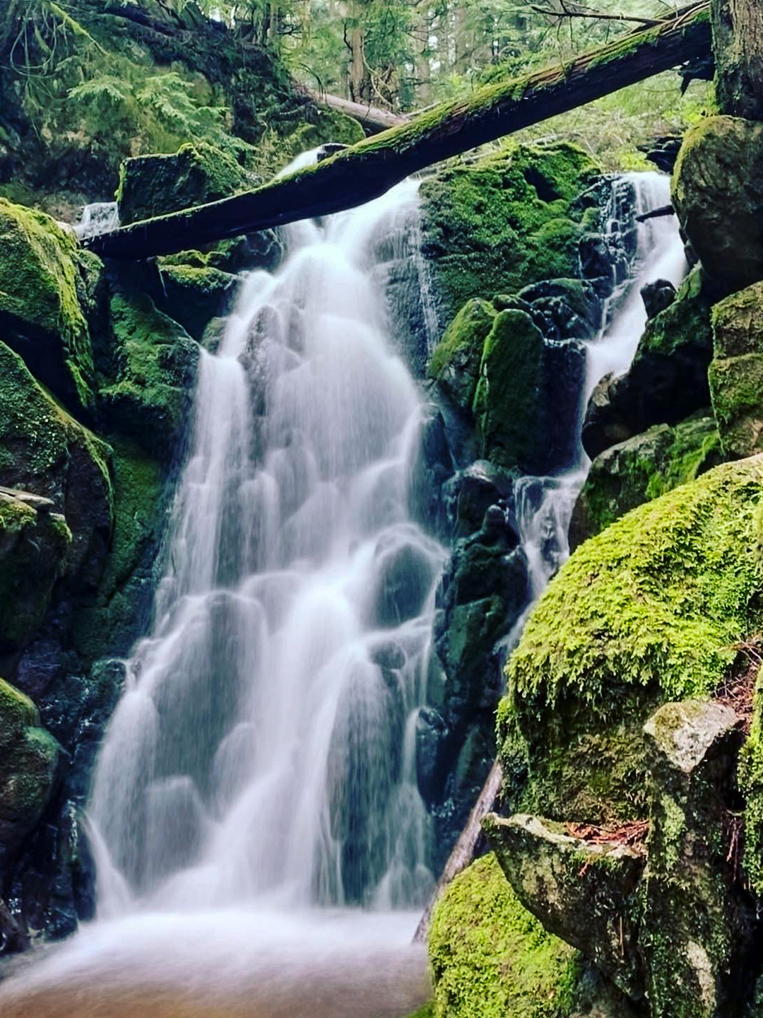 Natural waterfalls along Cypress Lake Trail