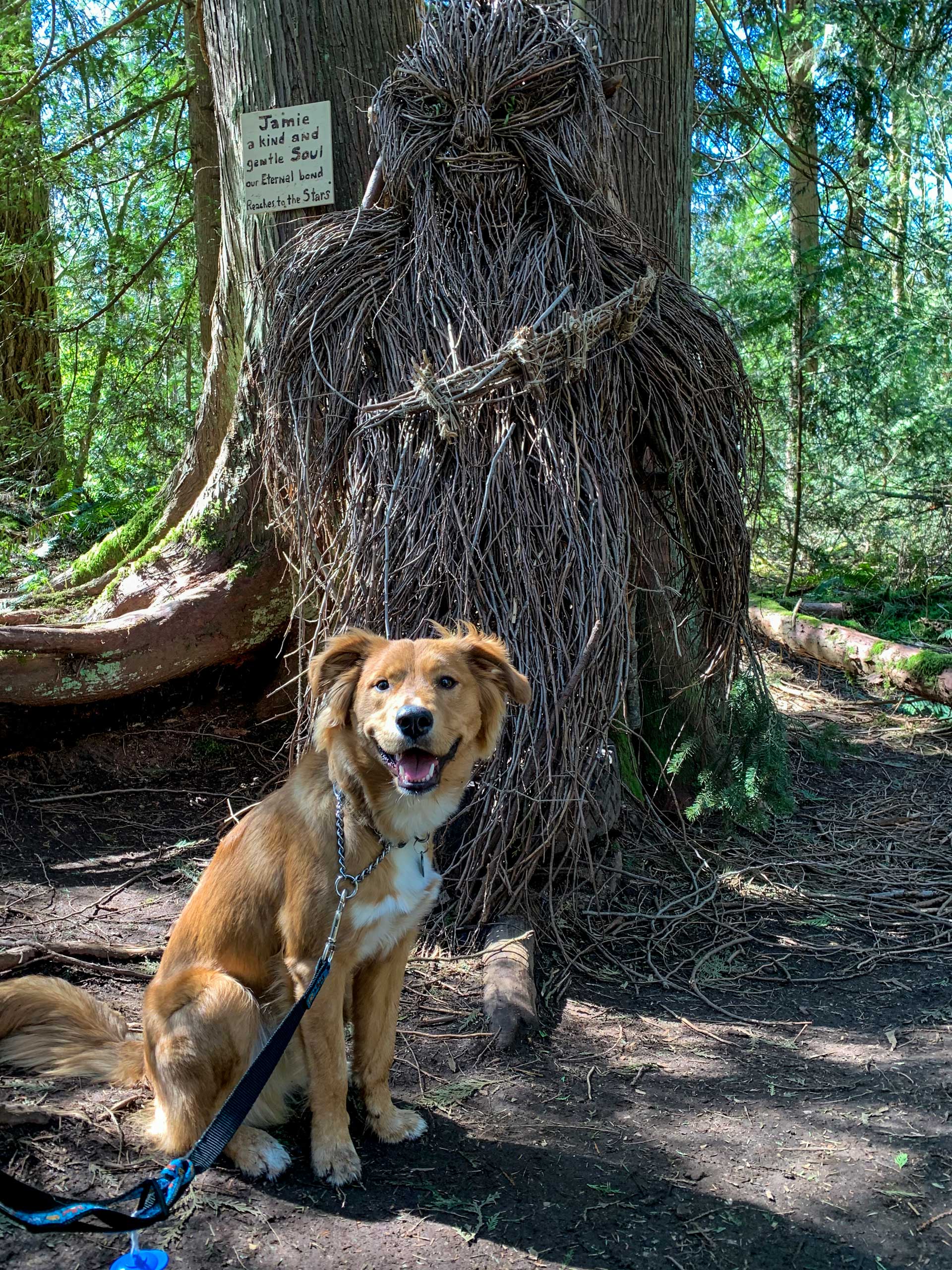 Timber and Chewie wooden sculpture