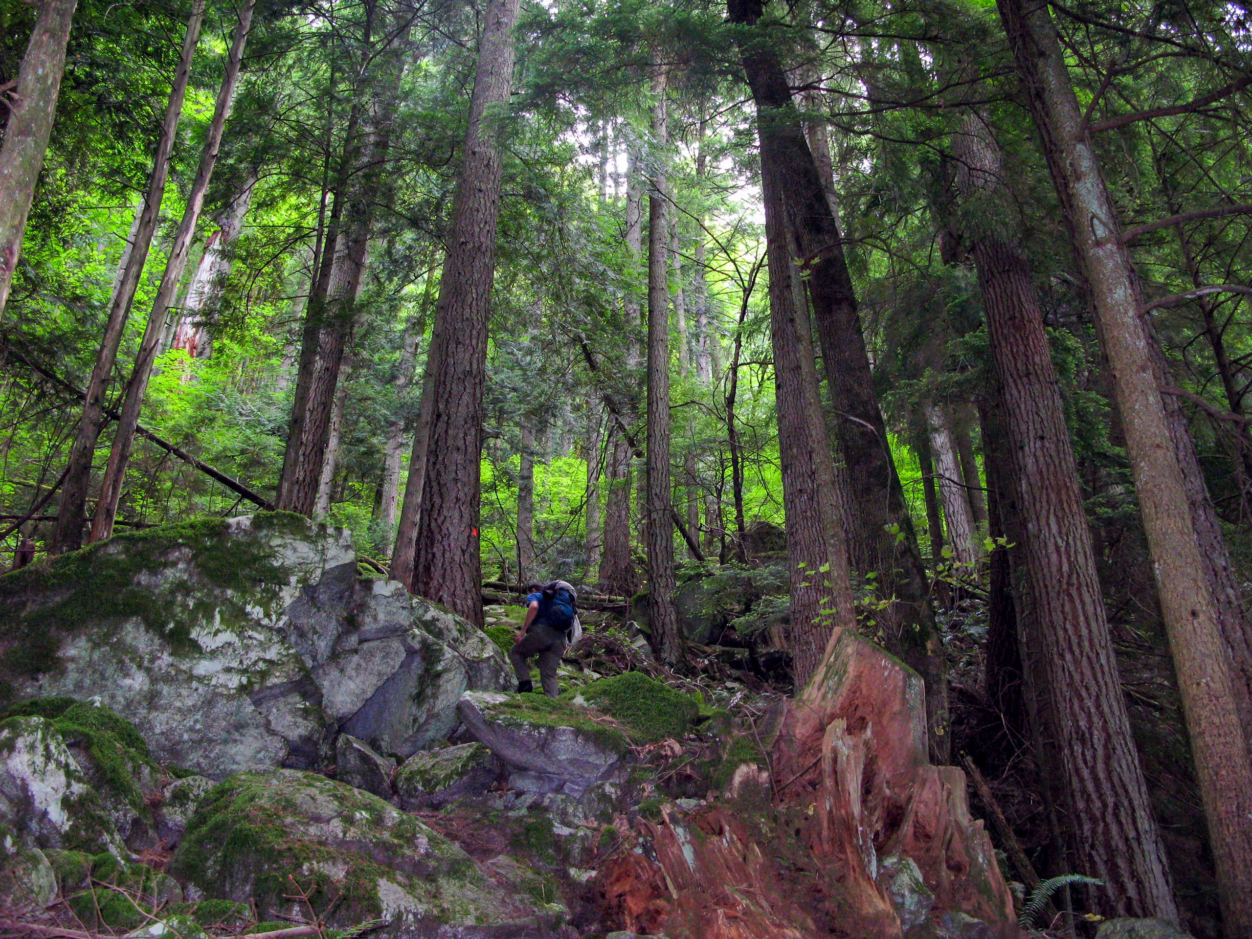 Swan Falls Loop Trail