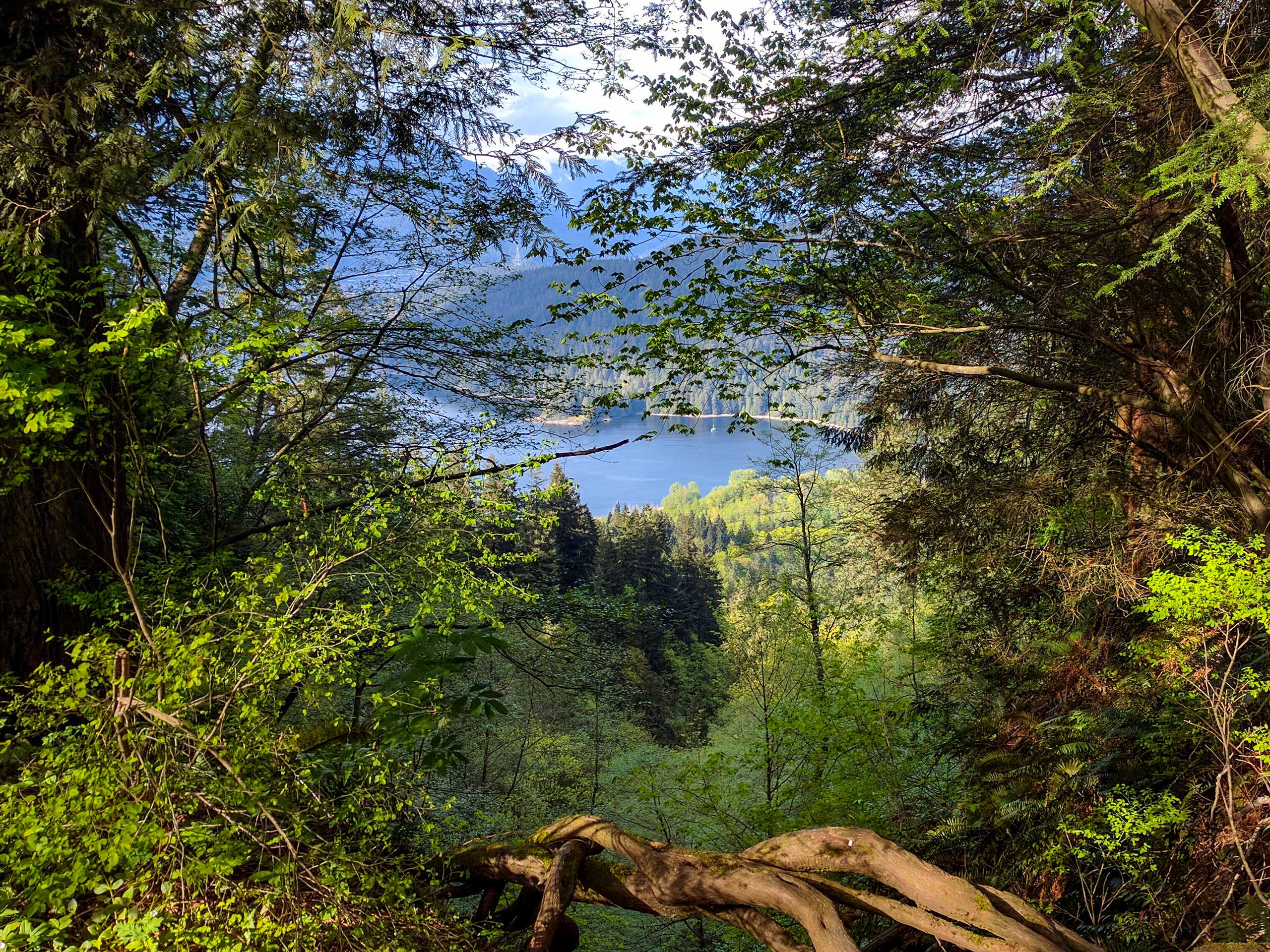 View from Burnaby Mountain Park