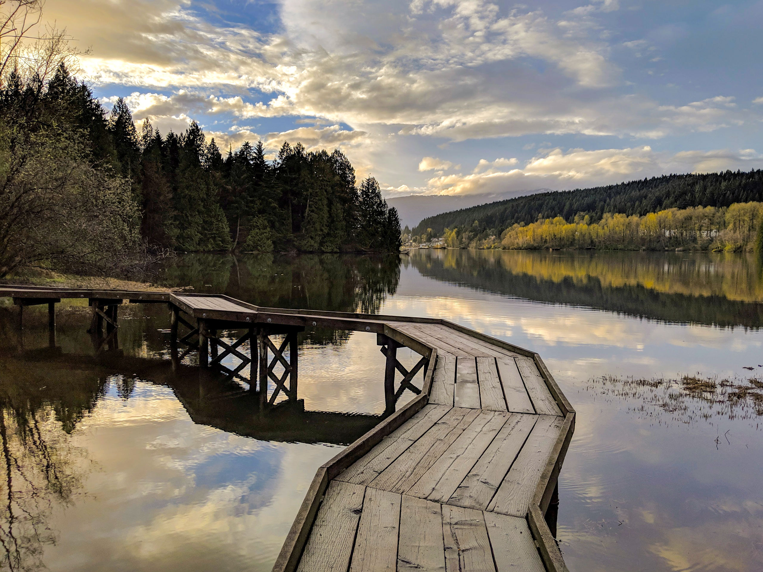 Port Moody Shoreline Trail