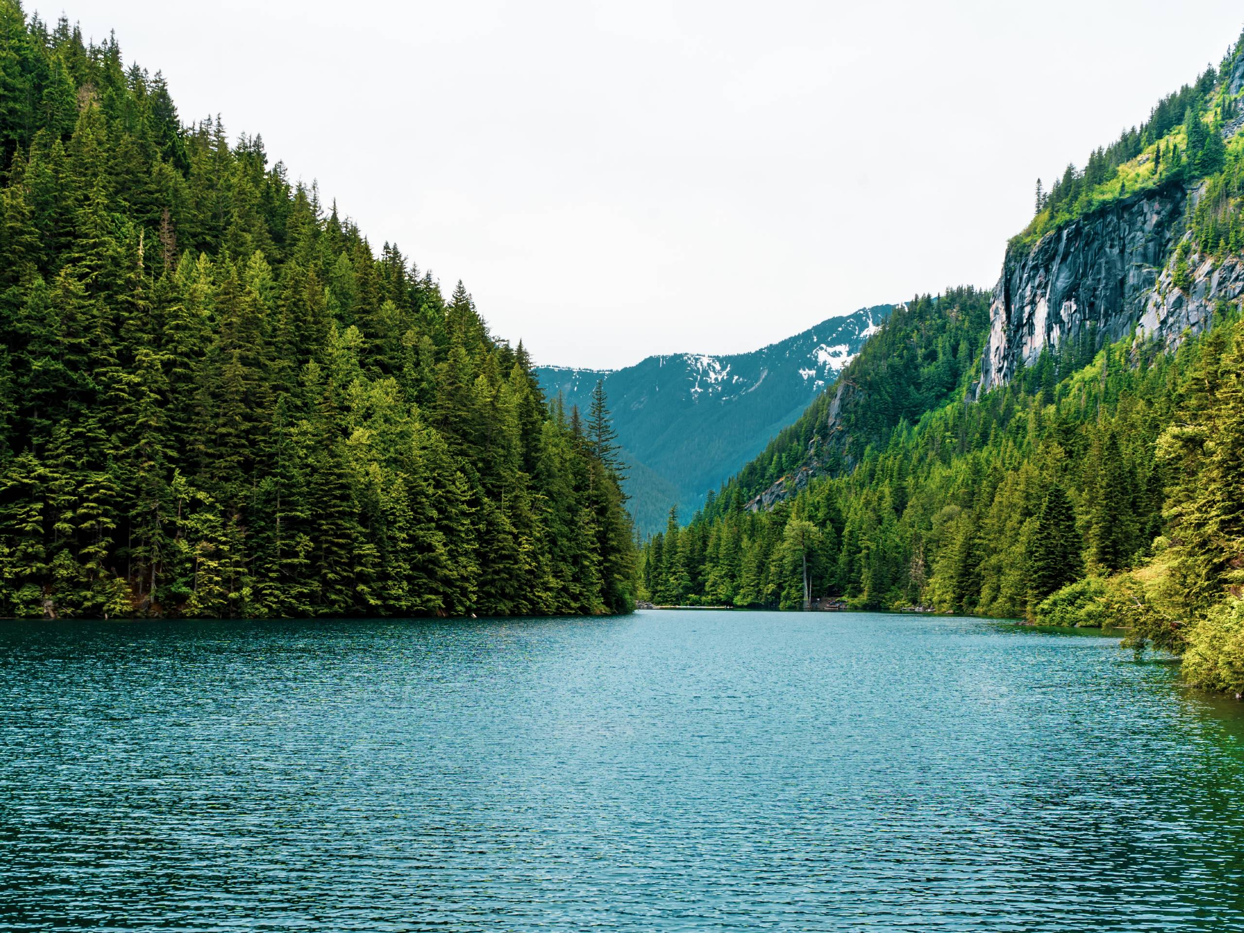 Forested Lake View