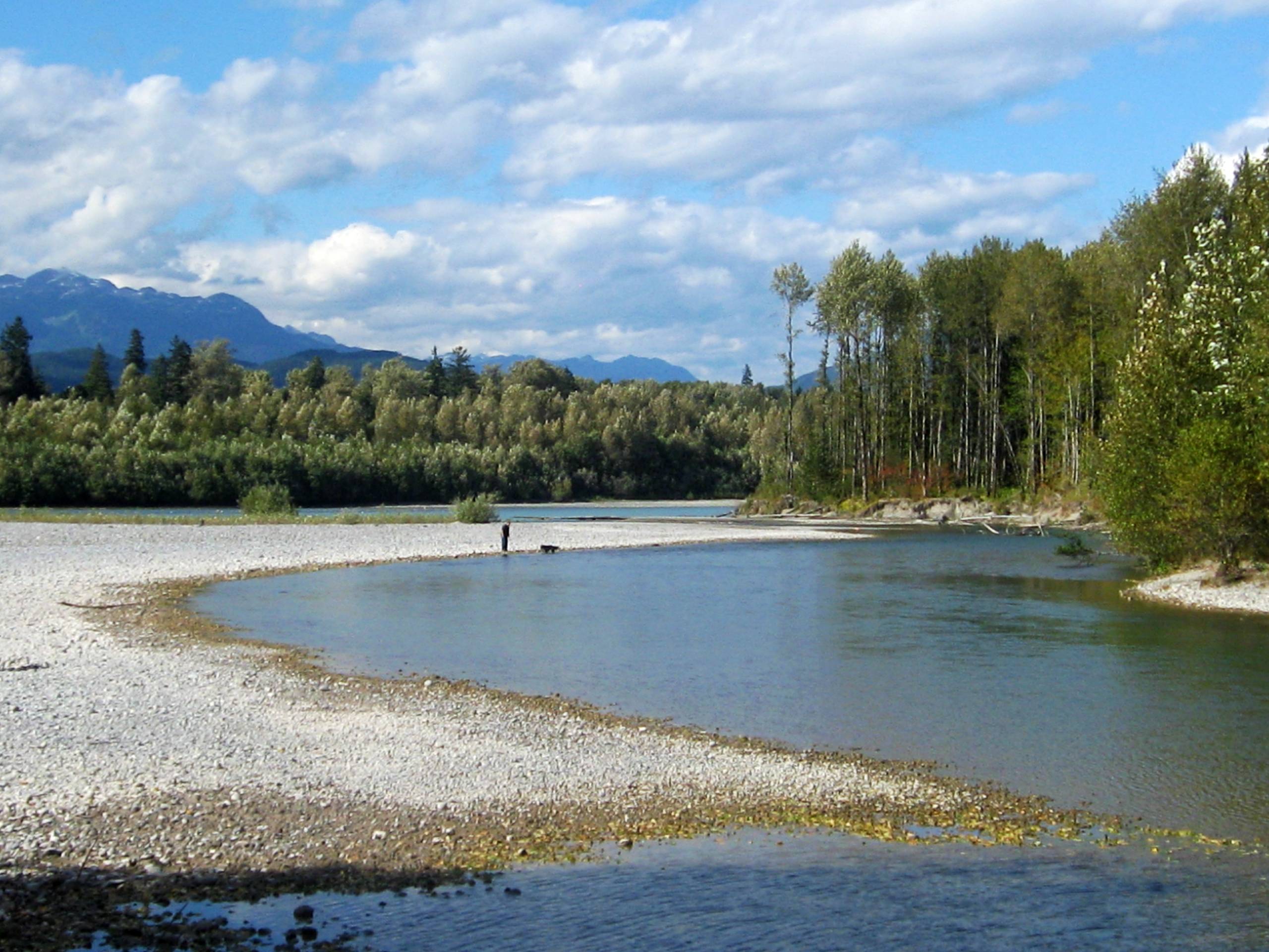 Mamquam River Trail