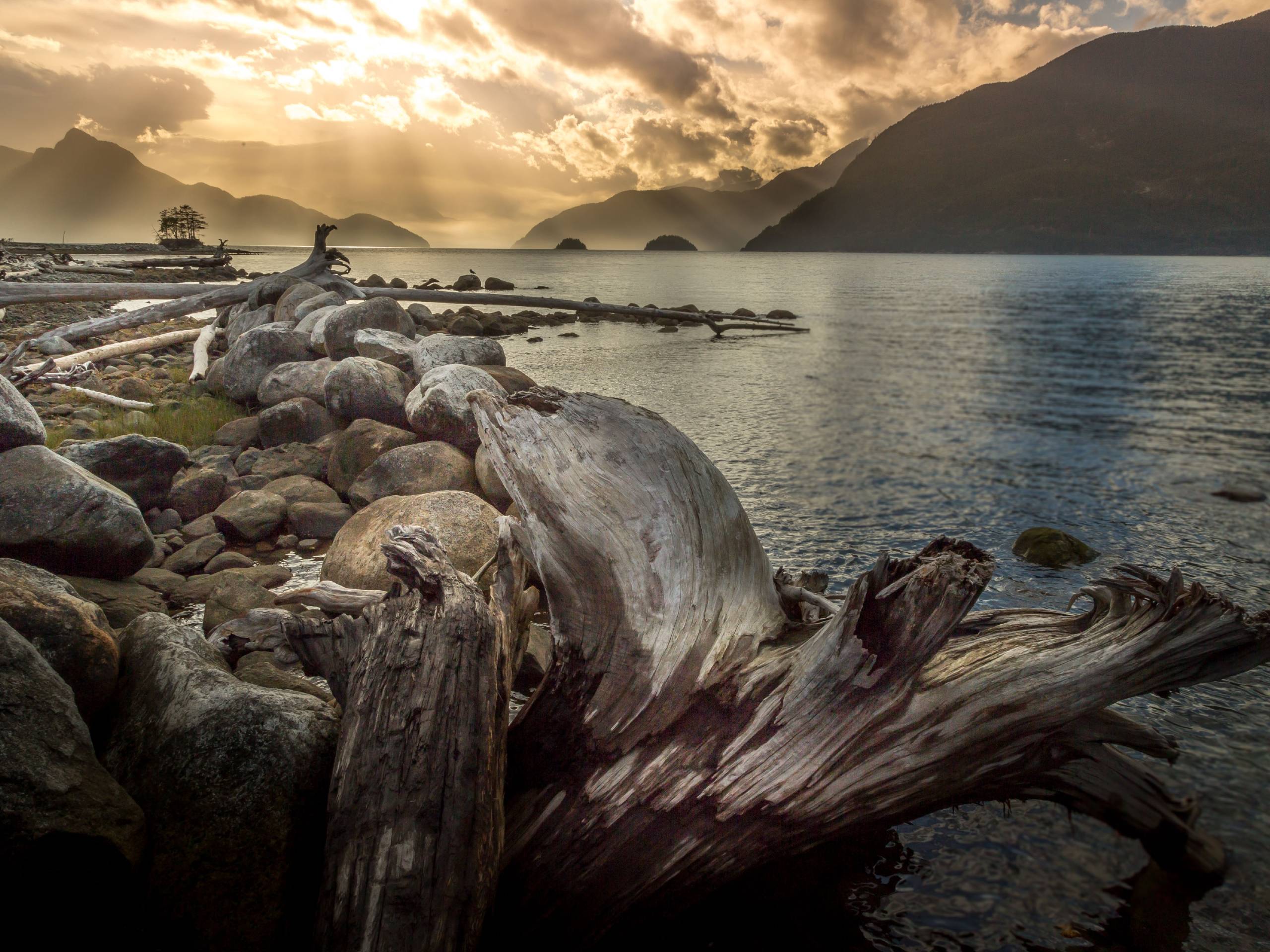 Squamish Estuary