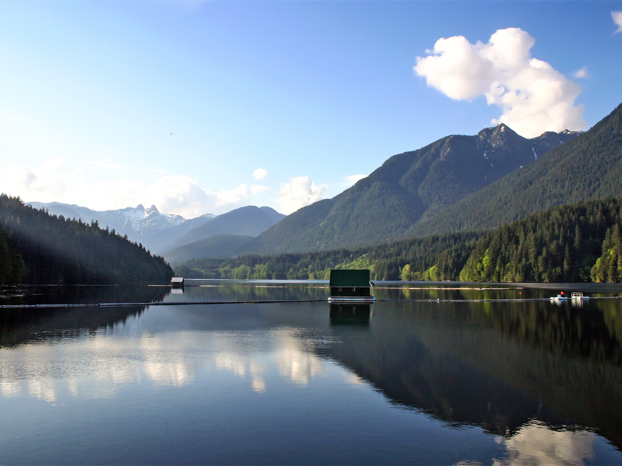 Capilano River Loop