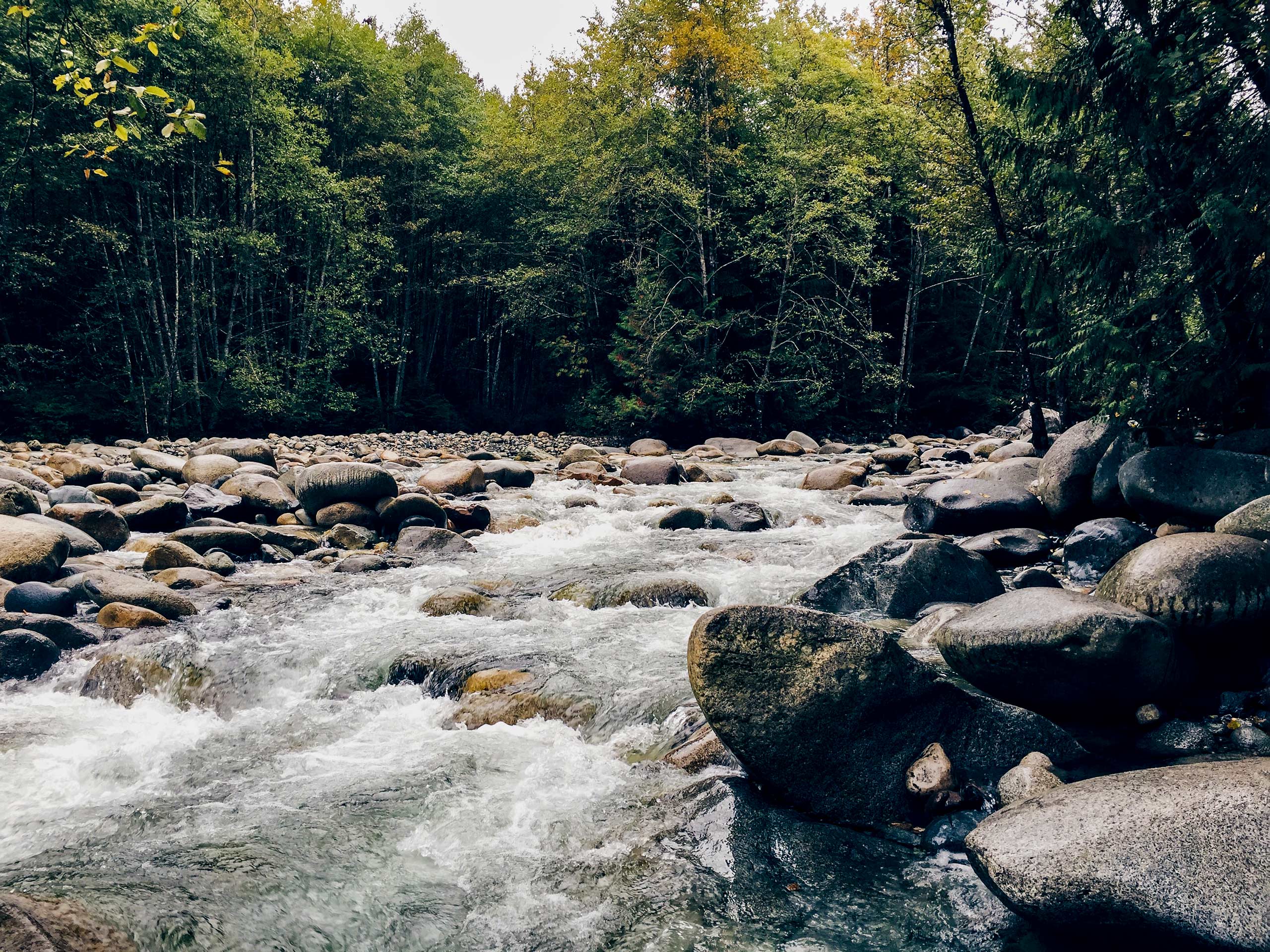 Capilano River Loop