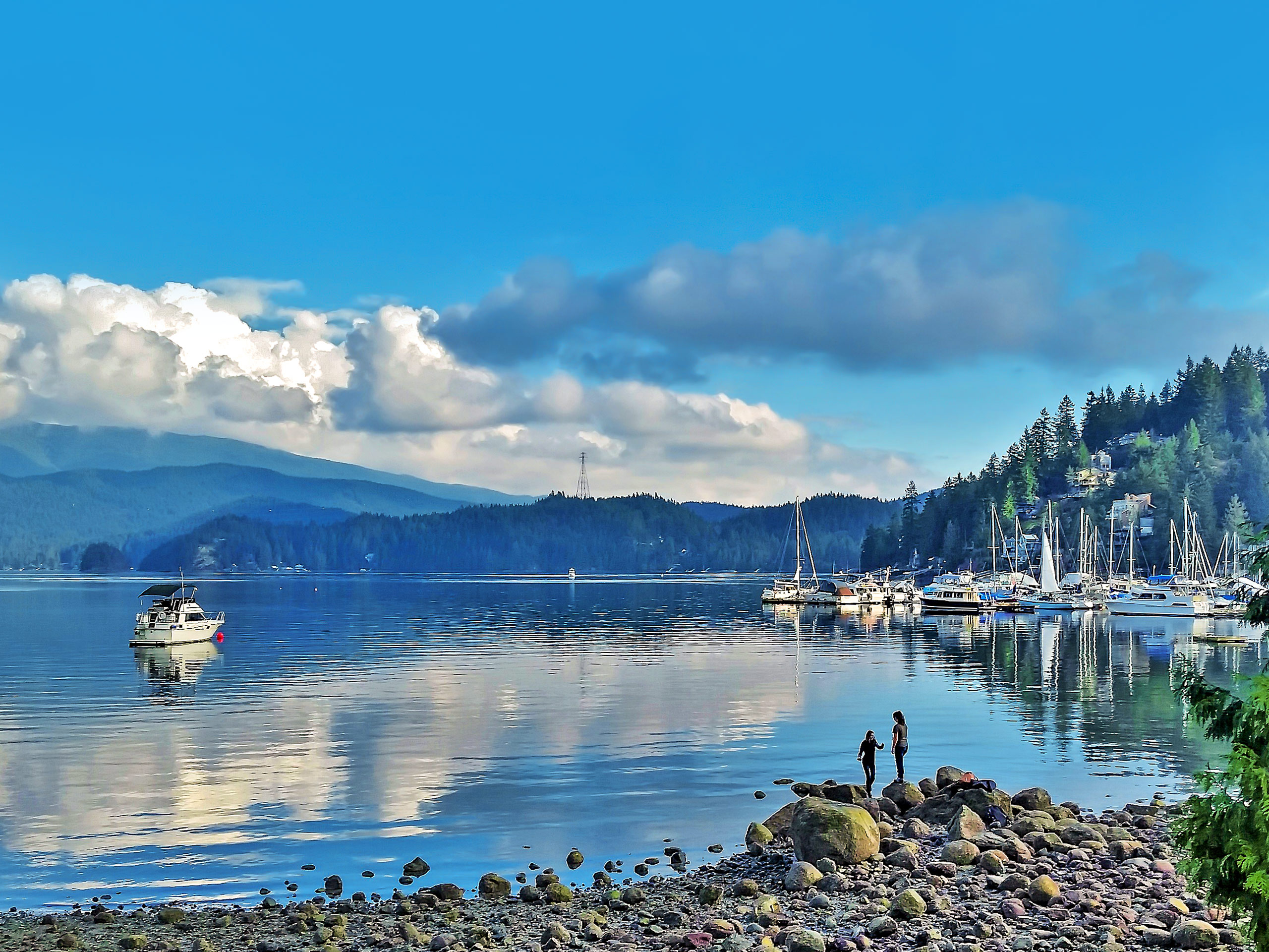 Deep Cove Park Loop