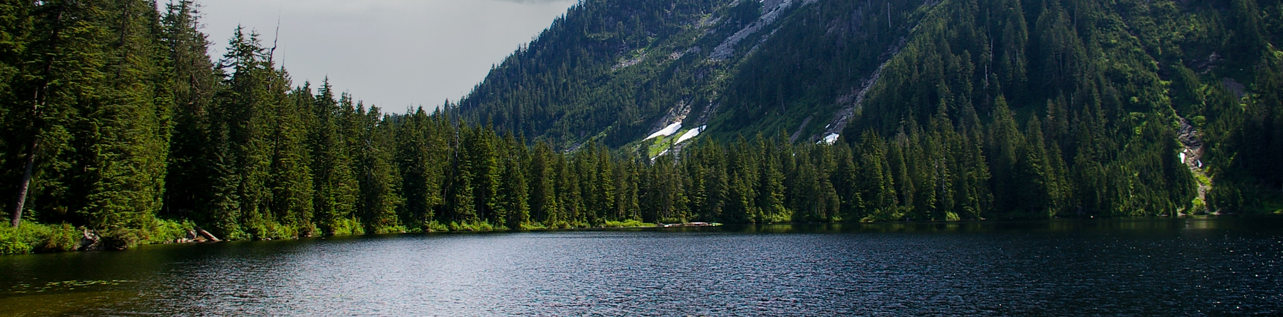 Elsay Lake Trail
