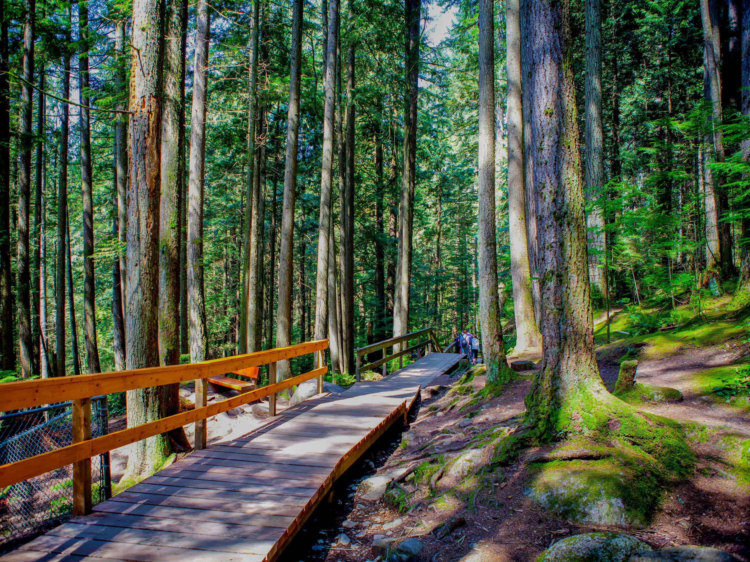 Lynn Canyon Sea to Sky Trail