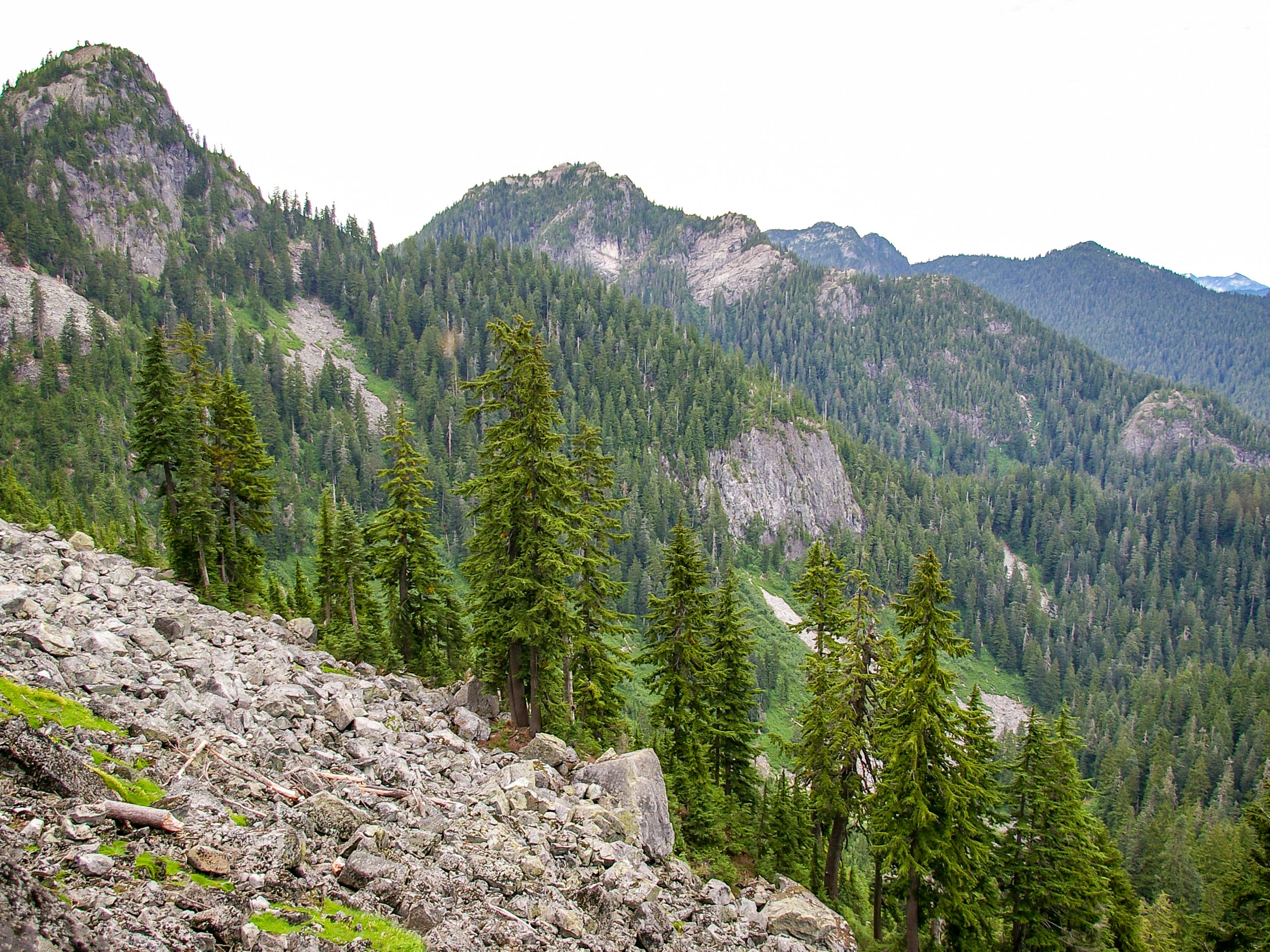 Mount Elsay Trail