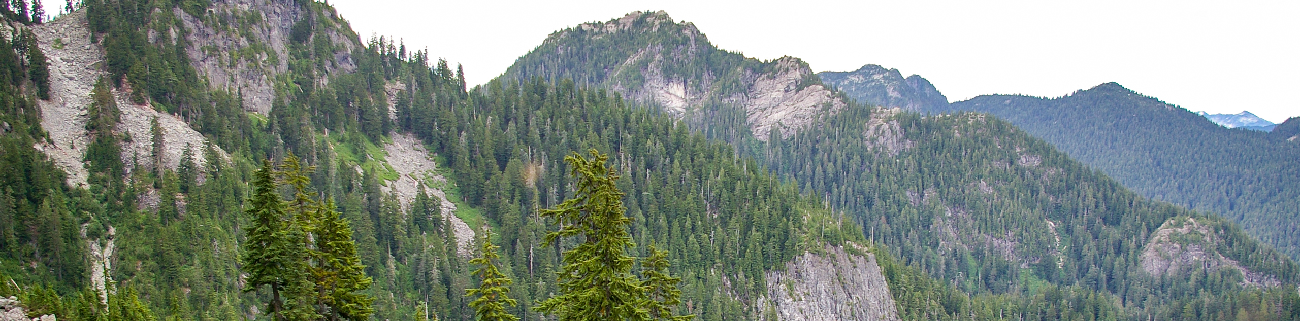 Mount Elsay Trail