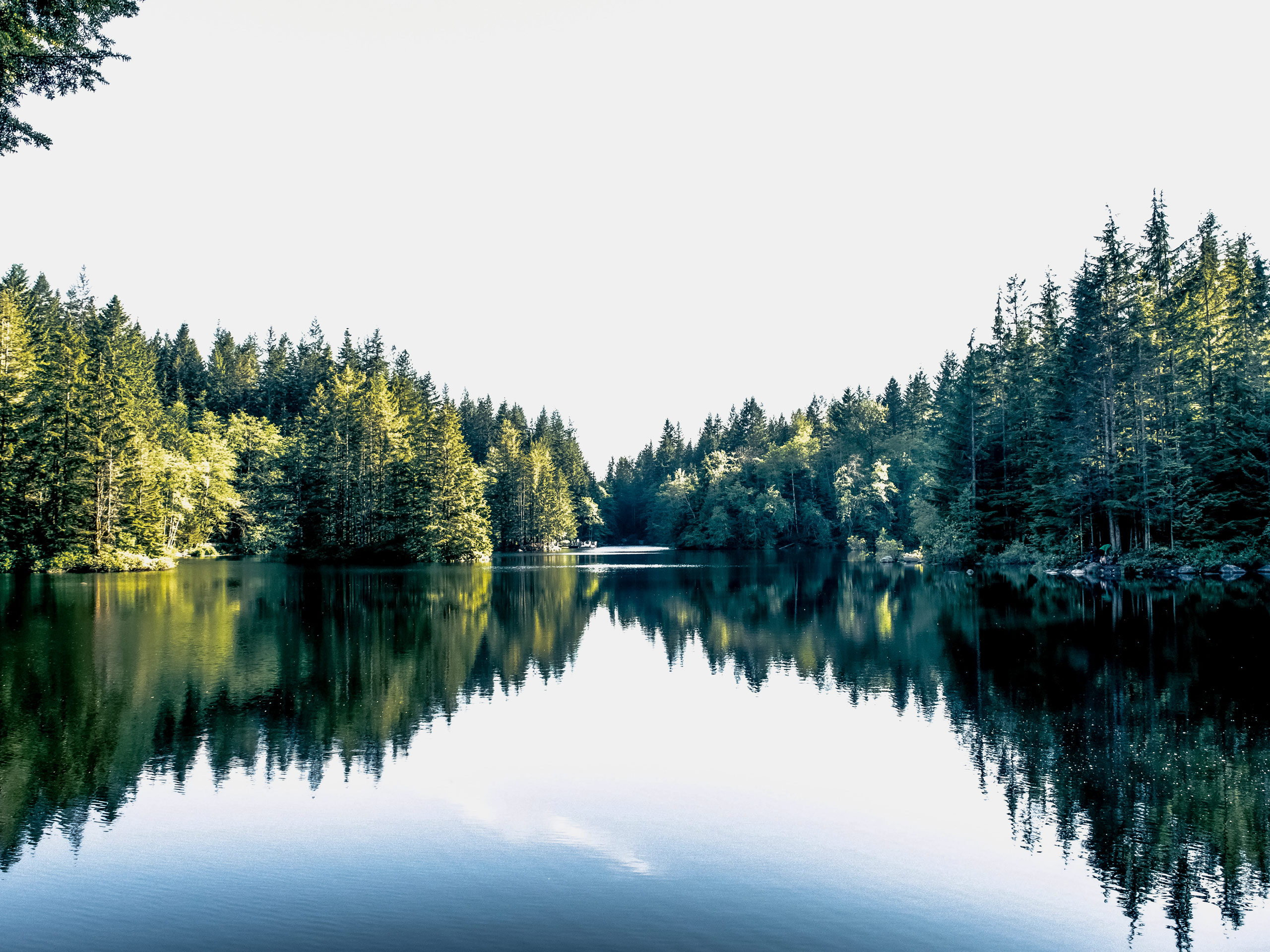 Rice Lake Hike via Lynn Canyon