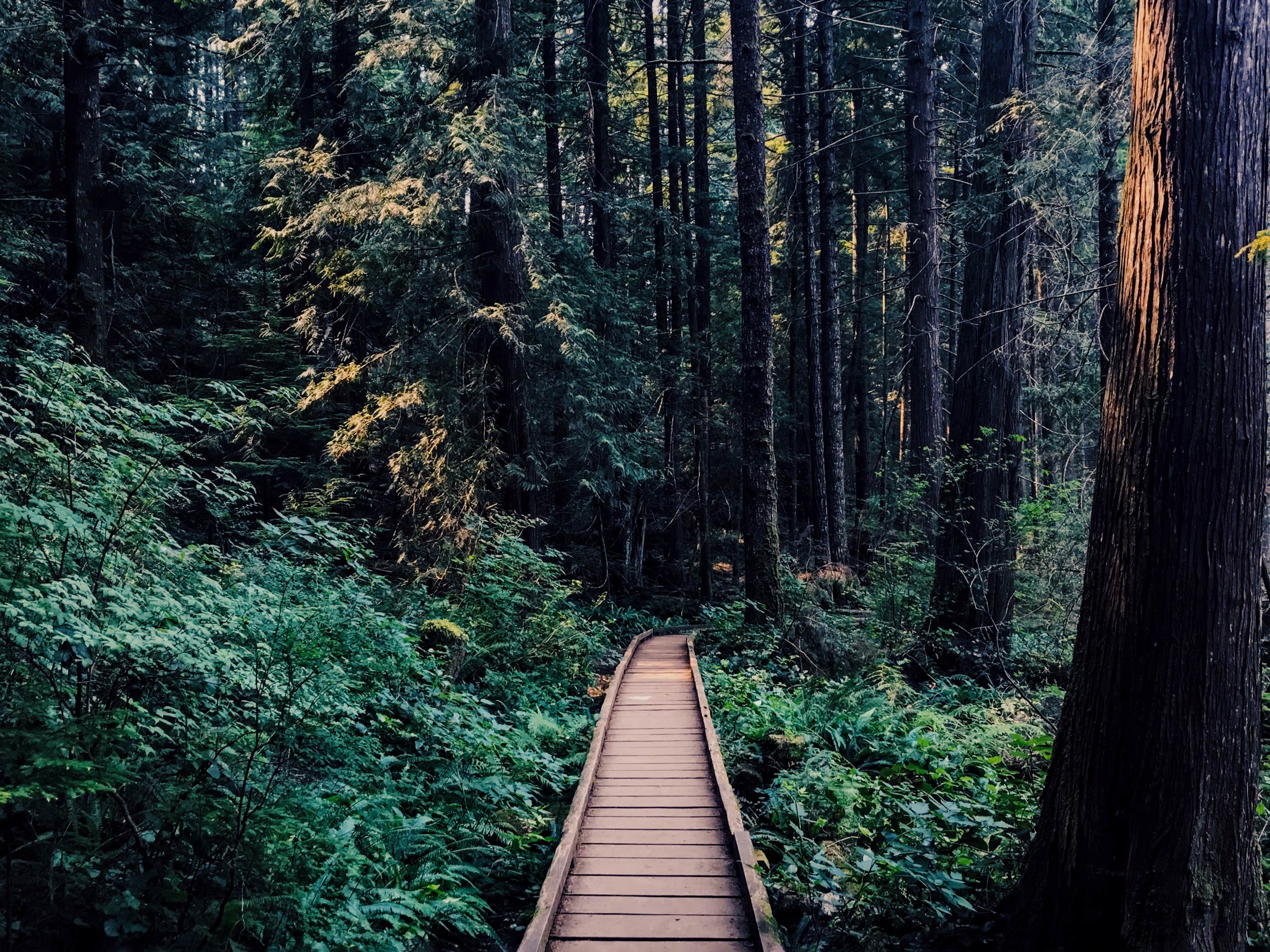 Whyte Lake Hike