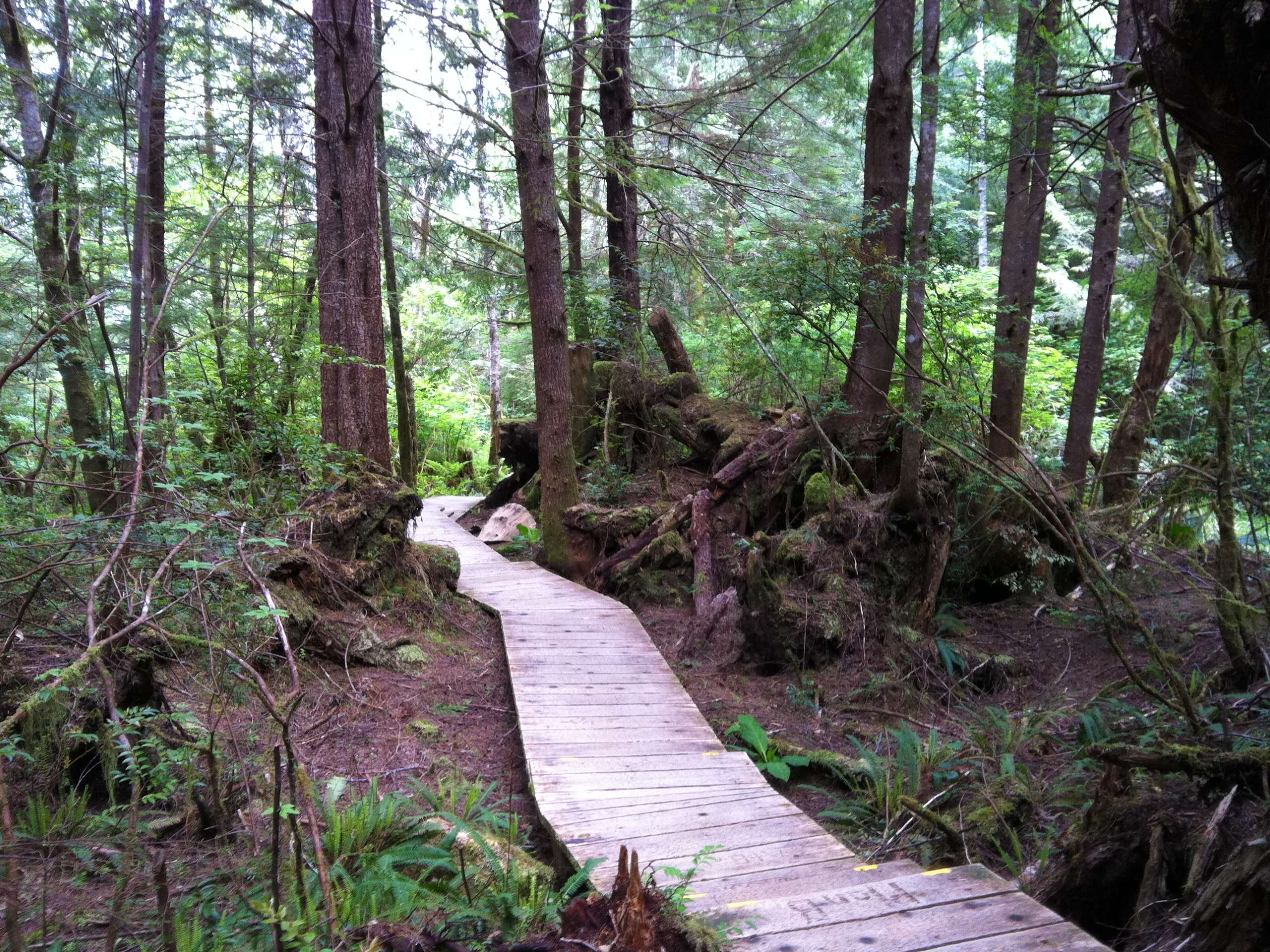 Hot Spring Cove Boardwalk Trail