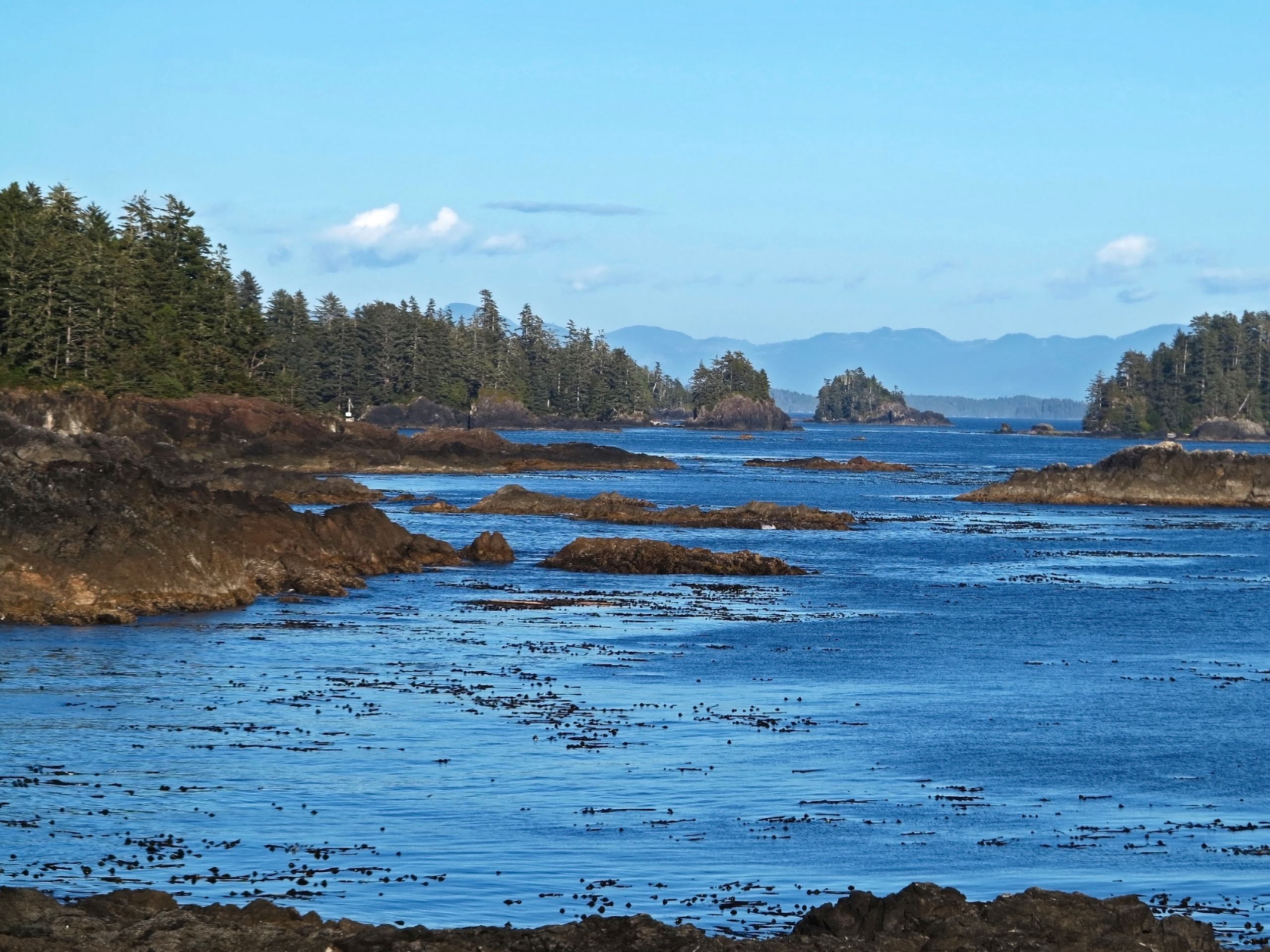 Wild Pacific Trail