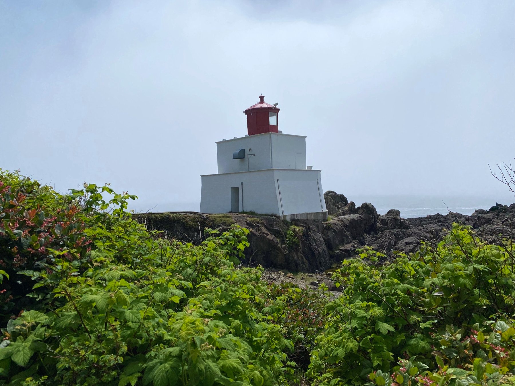 Wild Pacific Trail