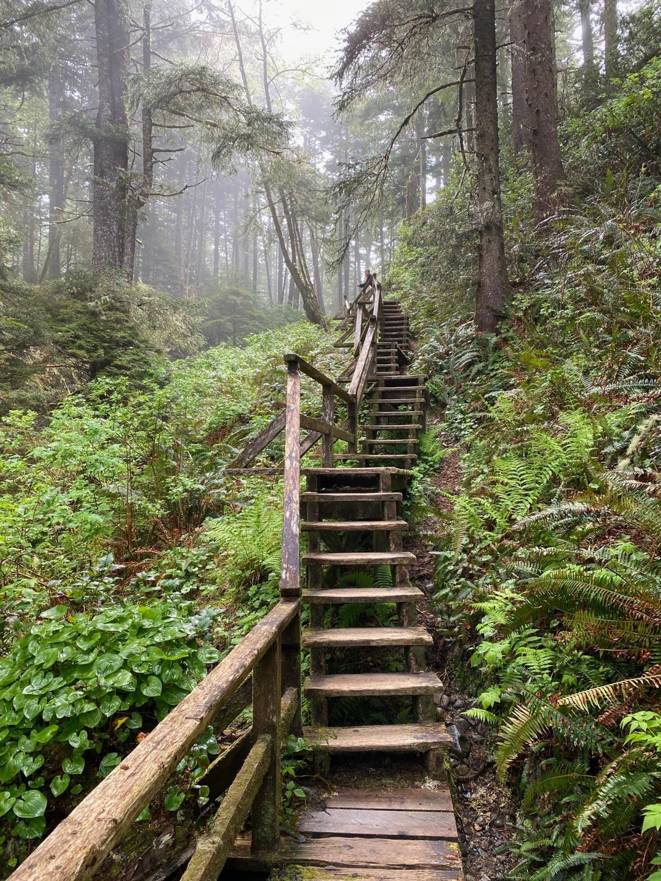 Willowbrae Trail to Half Moon Bay