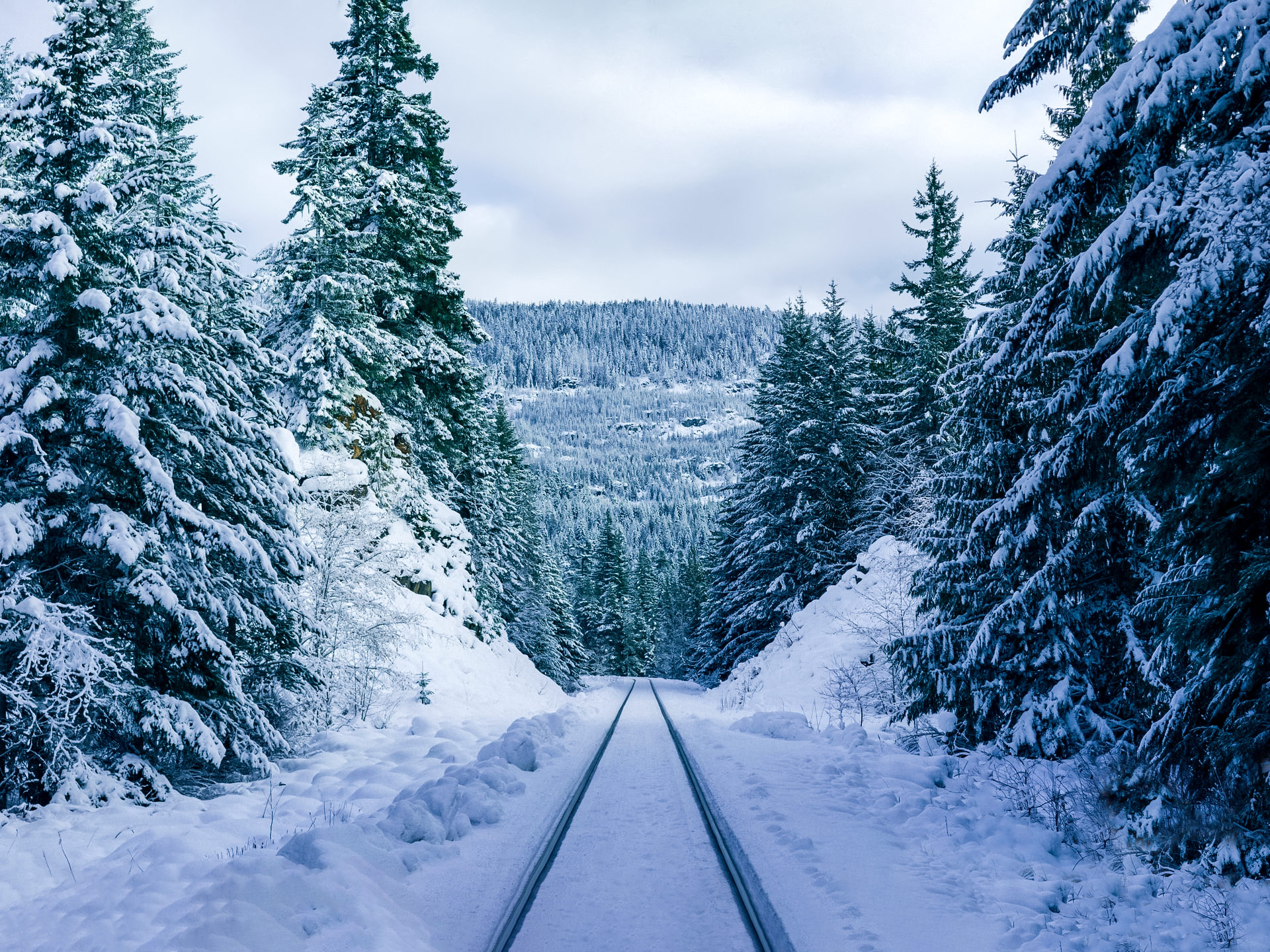 Snowy Tracks Brandywine Falls Provincial Park