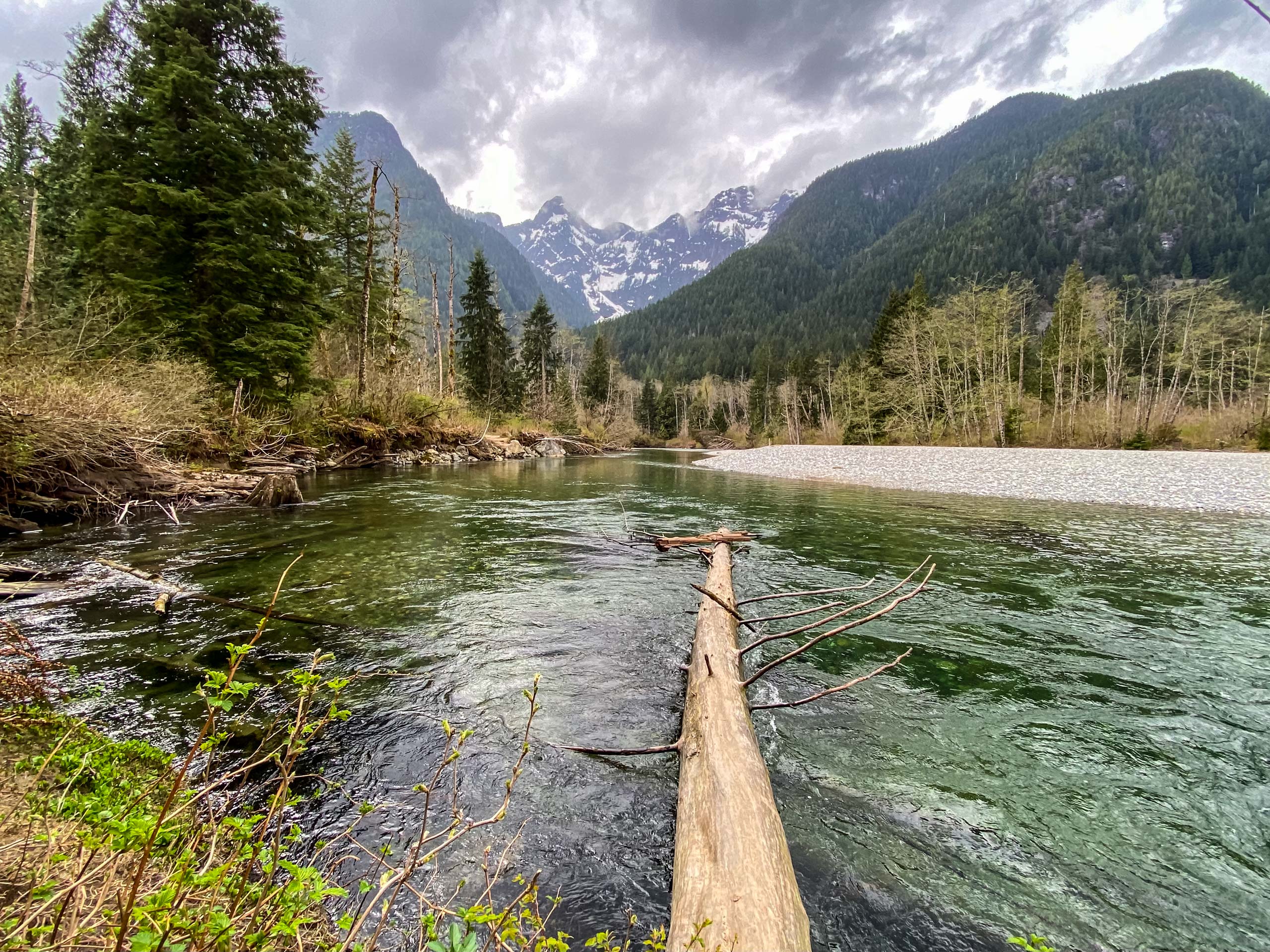 Lower Falls Loop Trail