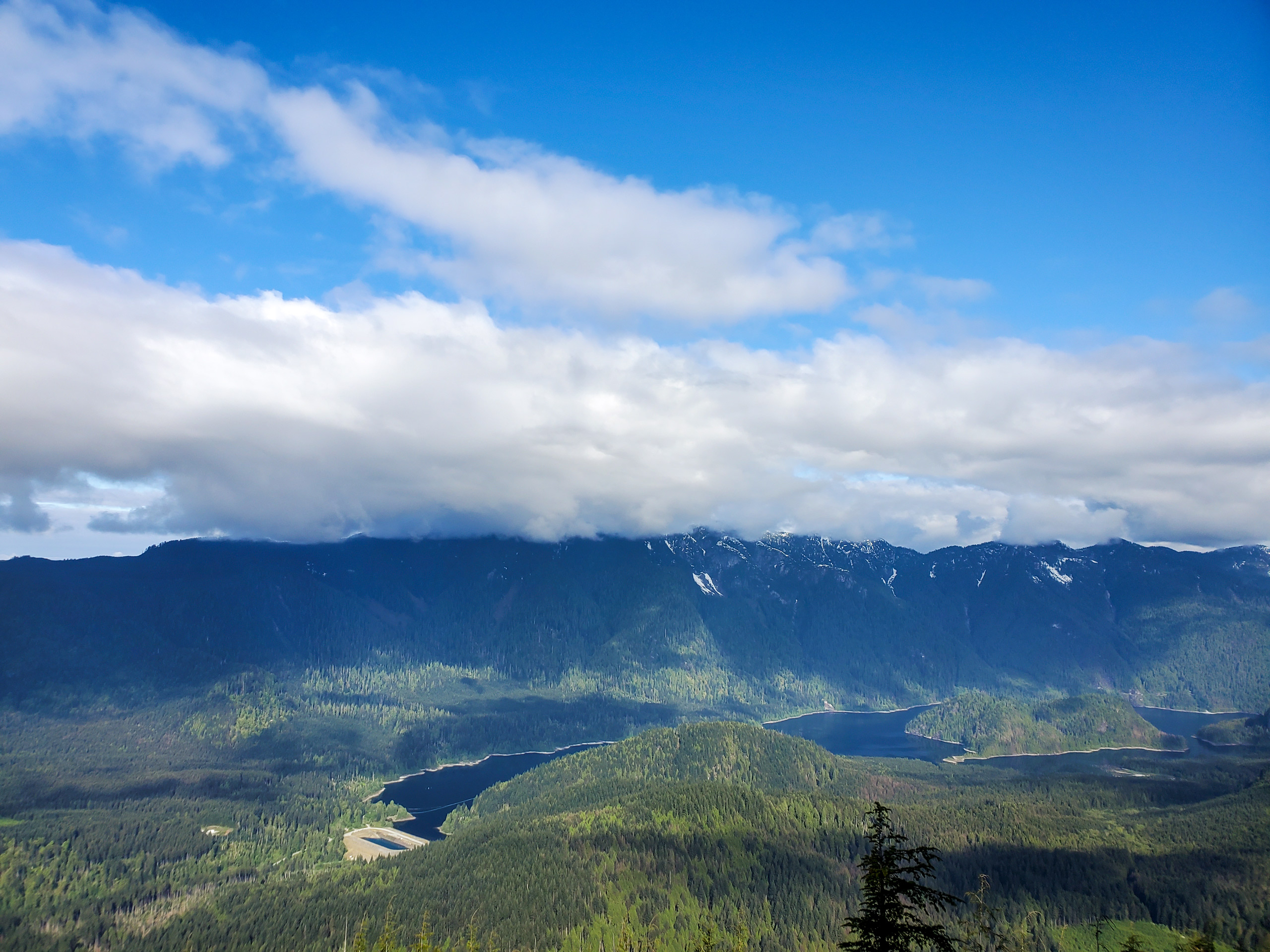 Coquitlam Lake View Trail