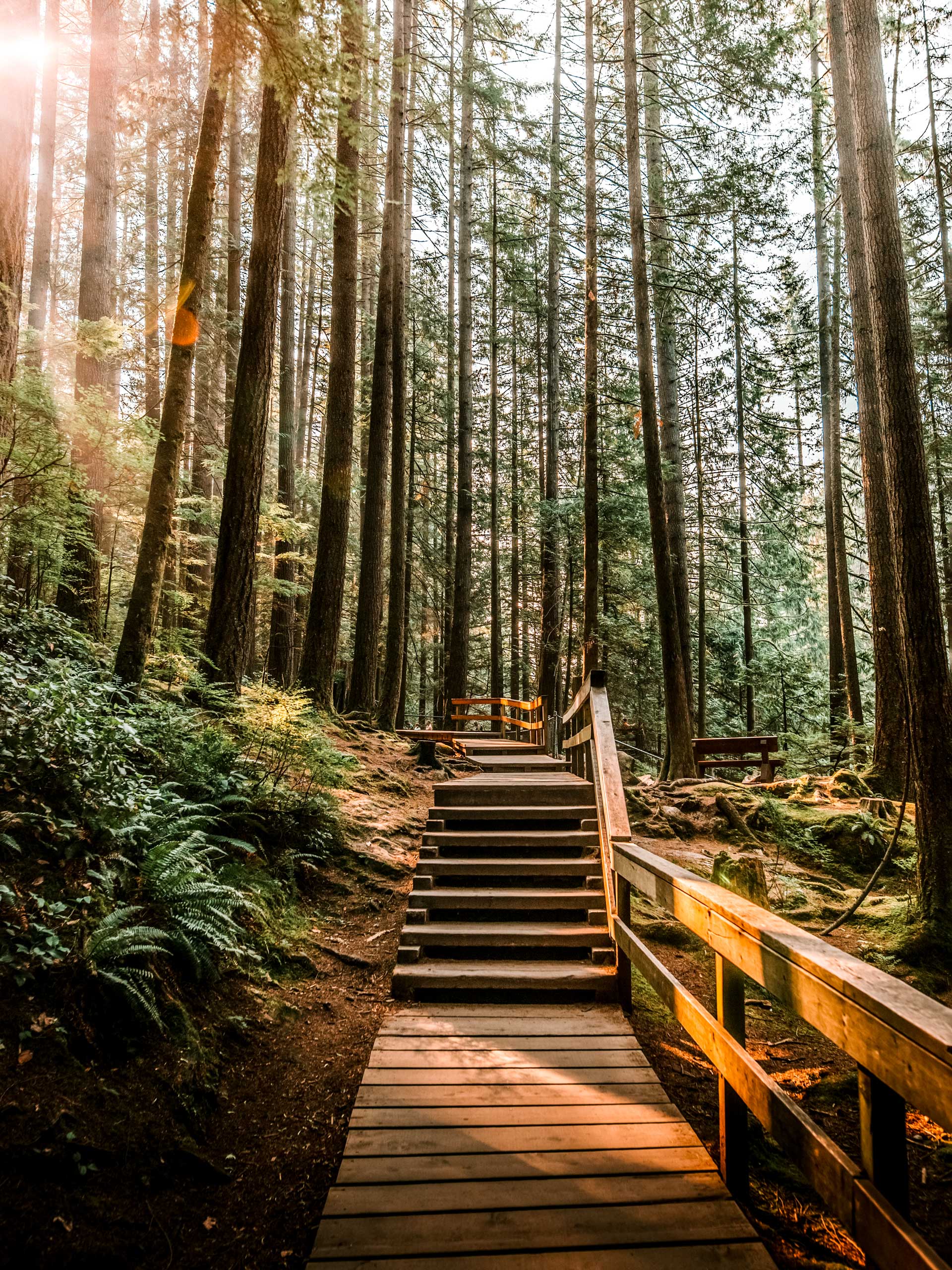 Lynn Canyon Park Loop