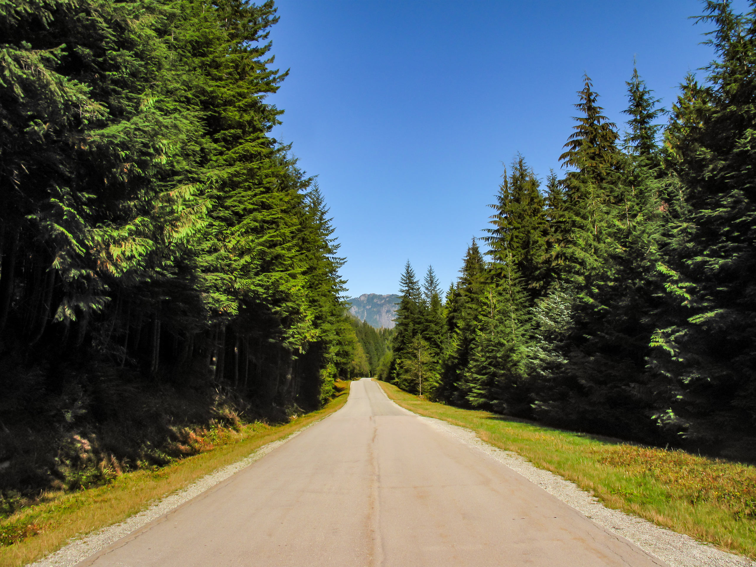 Seymour Valley Trail