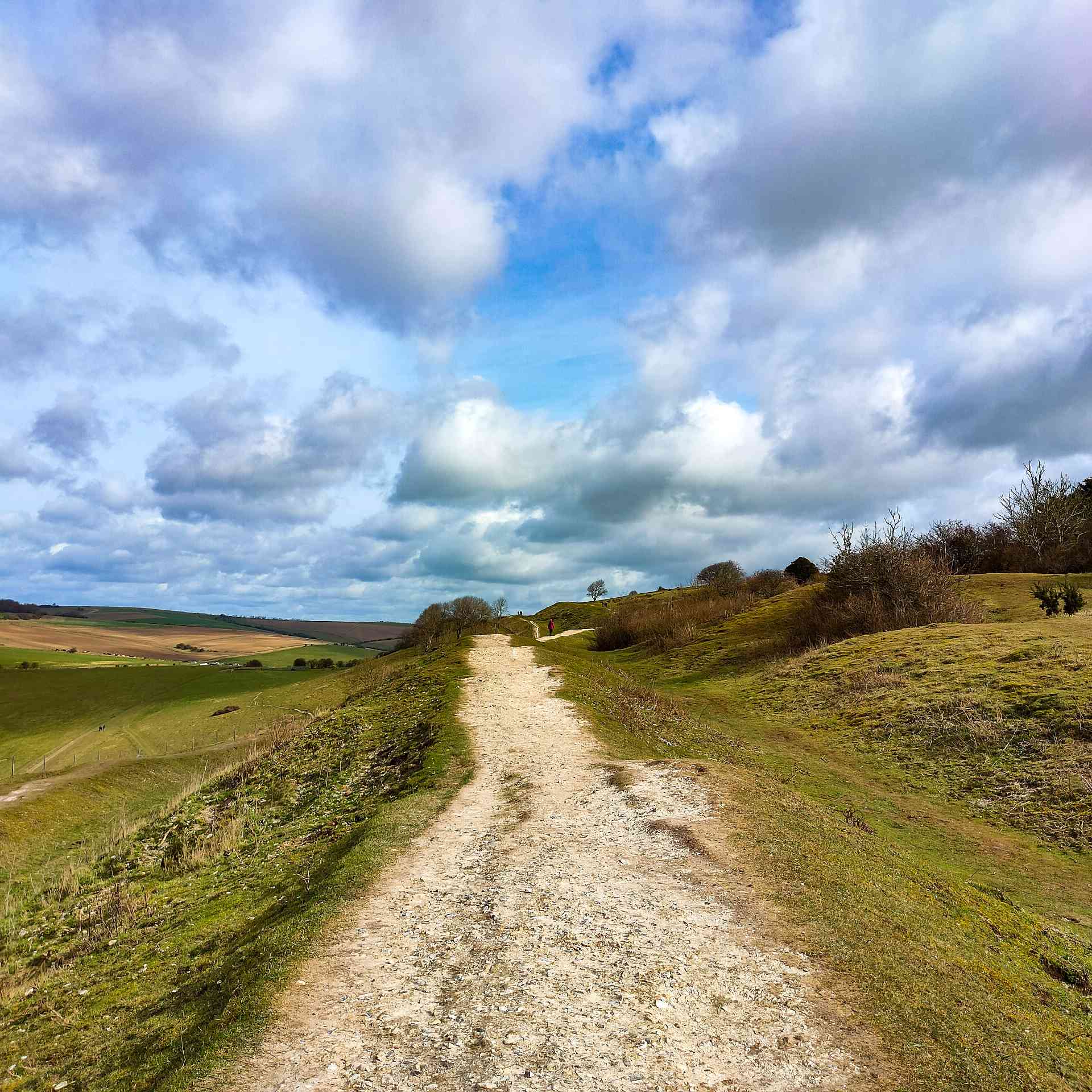 Cissbury Ring Walk