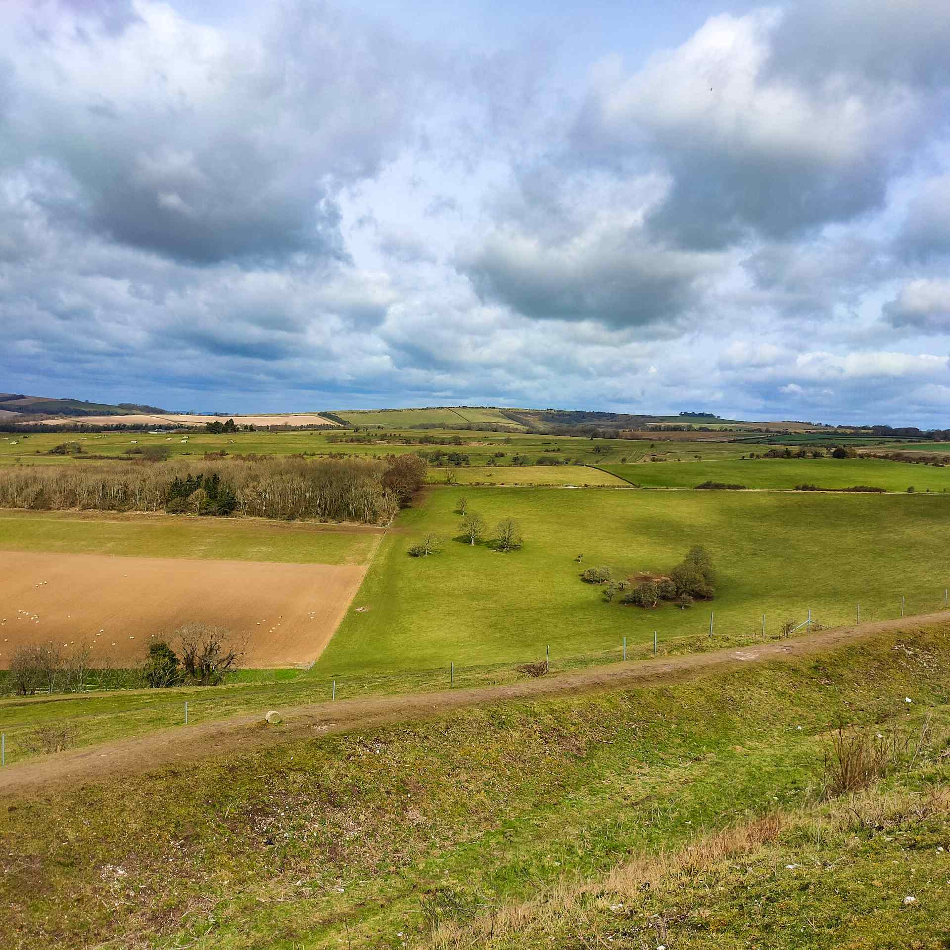 A Guide to the Cissbury Ring Circular Walk - West Sussex