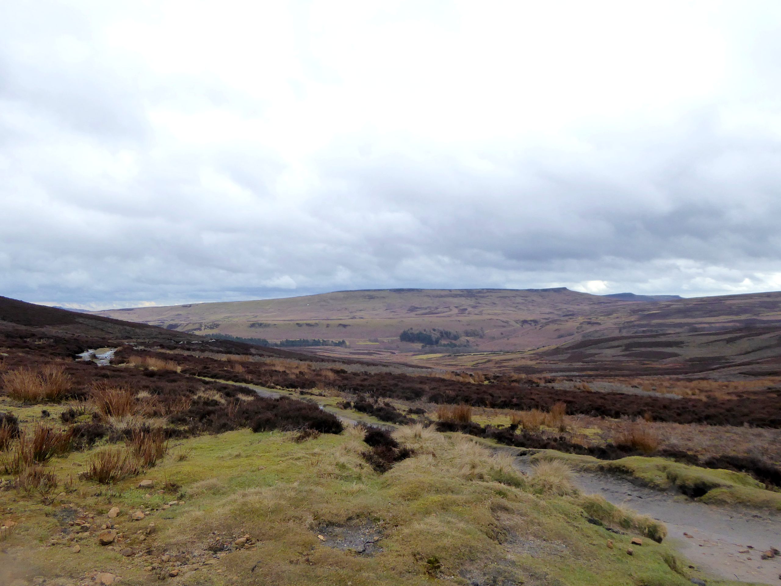 Derwent Moors Circular