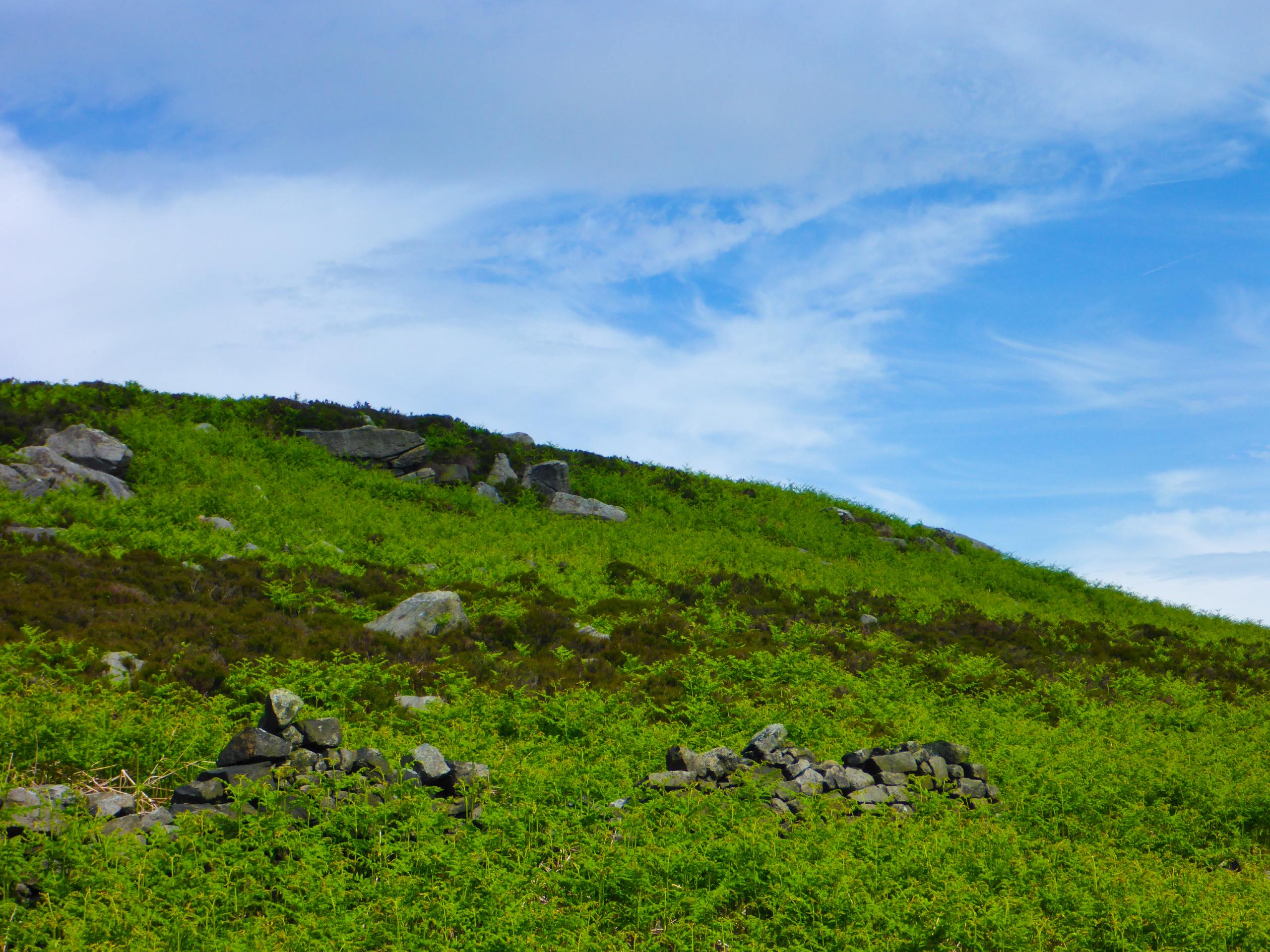 Houndkirk Moor