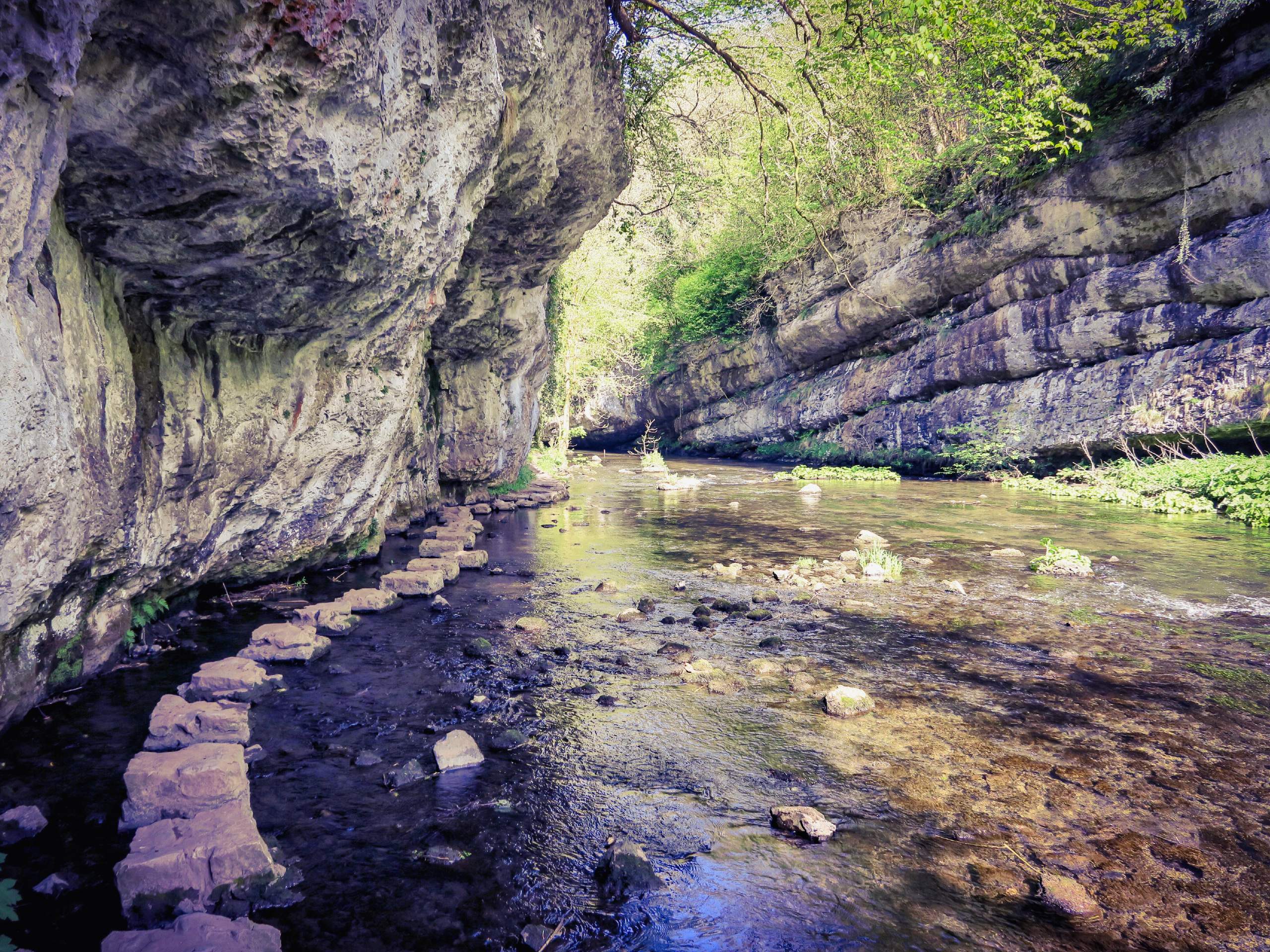 Great views from Chee Dale Walk