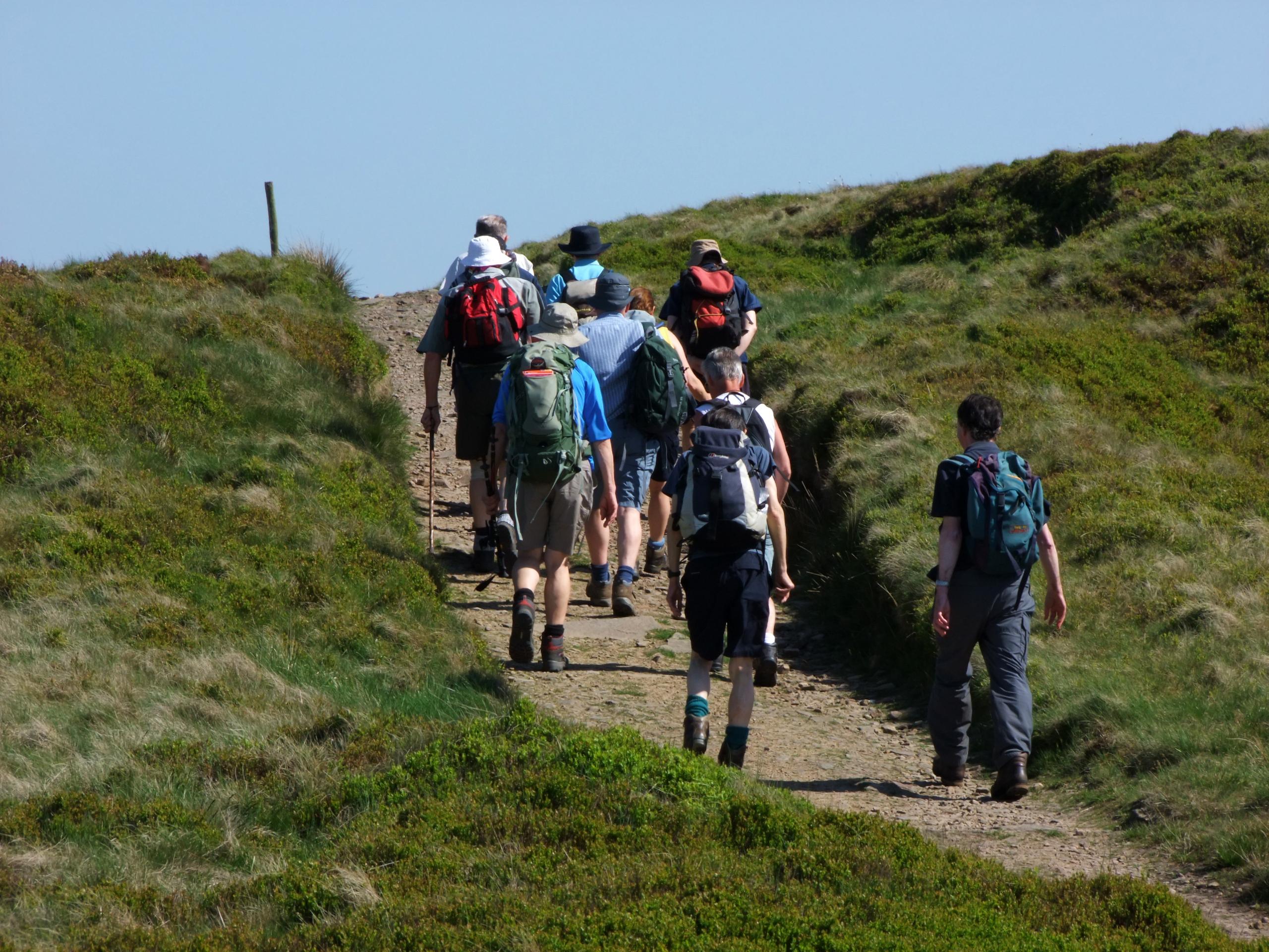 A group hiking