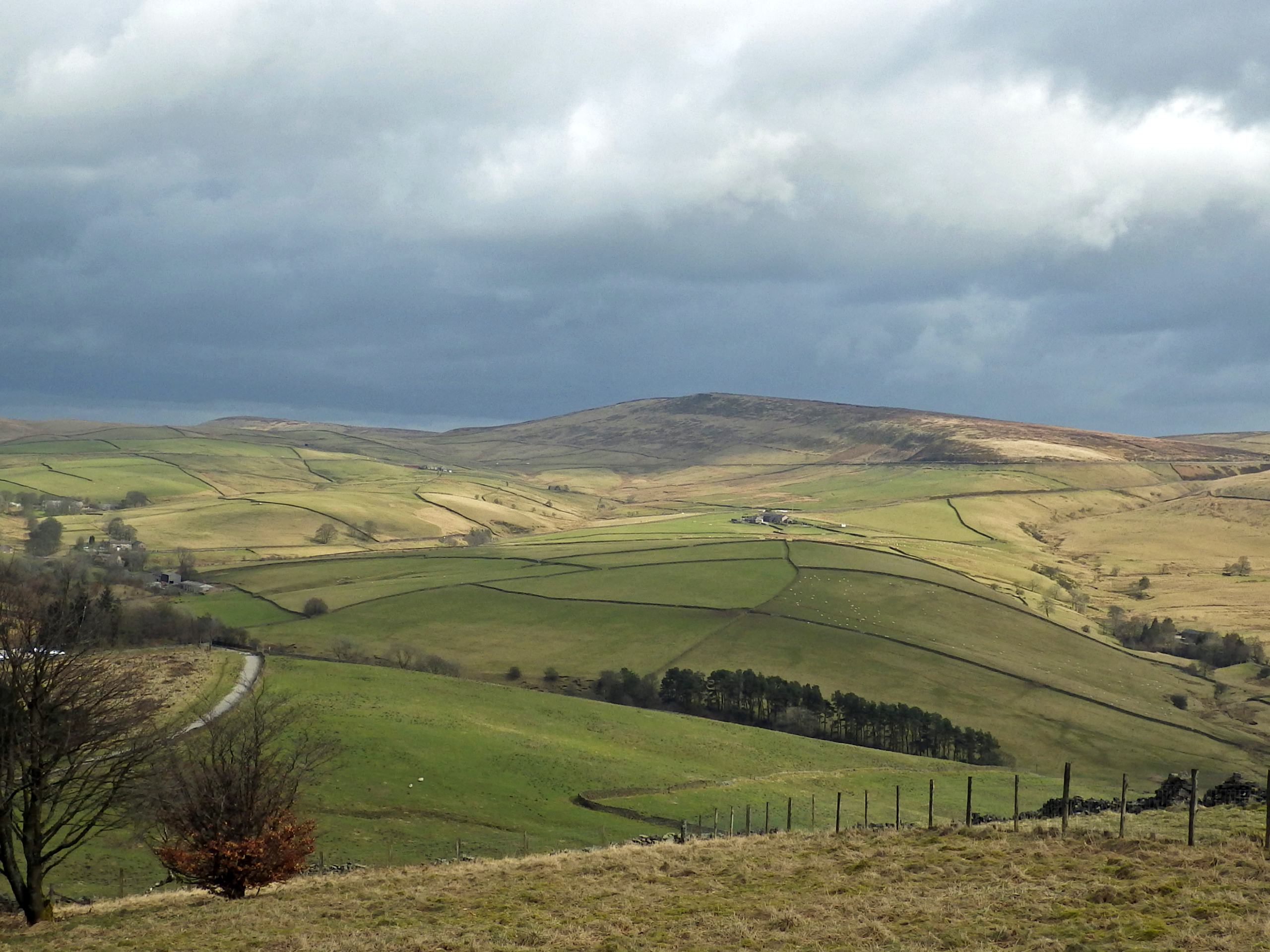 Peak District, Shining Tor and Windgather Rocks Circular