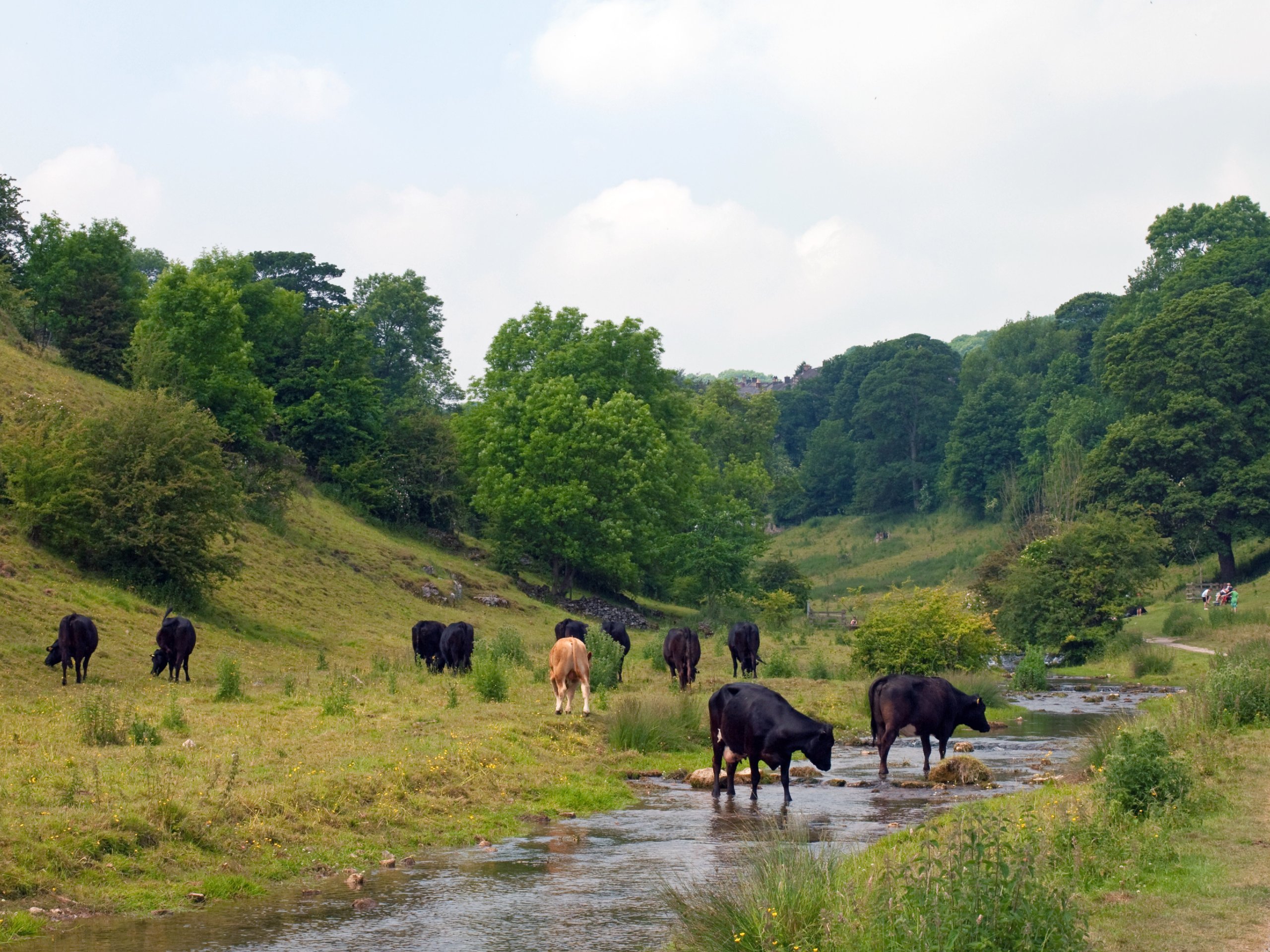 Youlgreave and Bradford Dale Circular