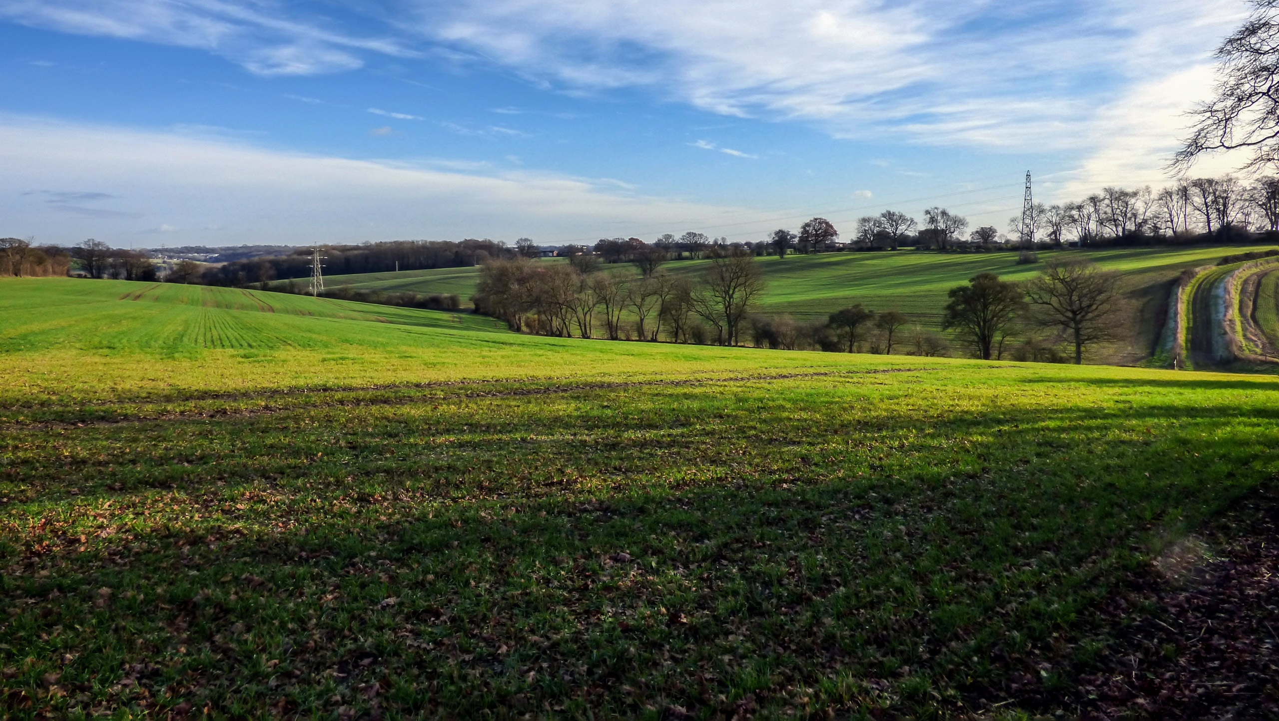 Alford Arms and Chiltern Hills Walk