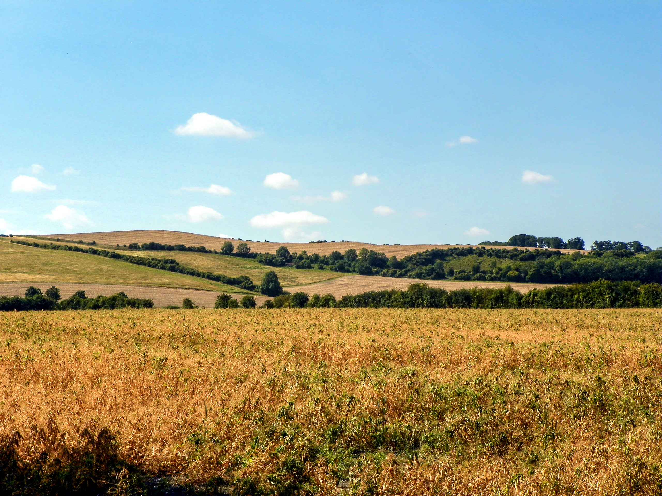 Beautiful landscape near Barton le Clay