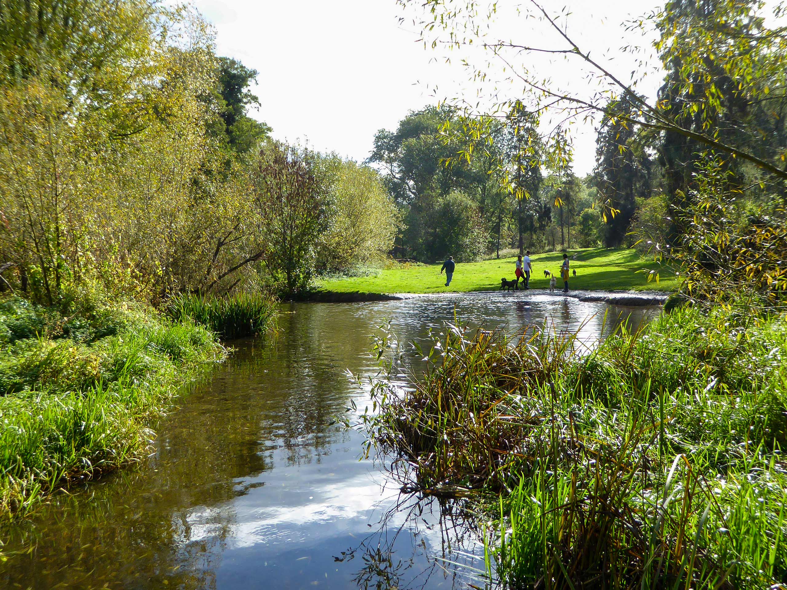 Pond in Chess Valley near Chorleywood