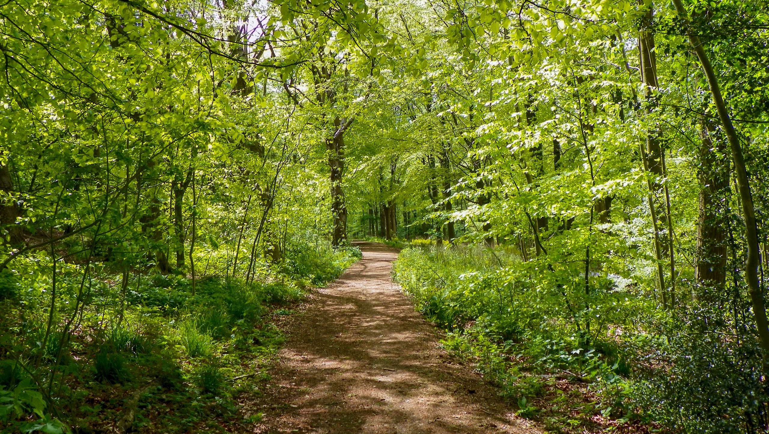 Chiltern Hills, Valleys and Woodlands Walk