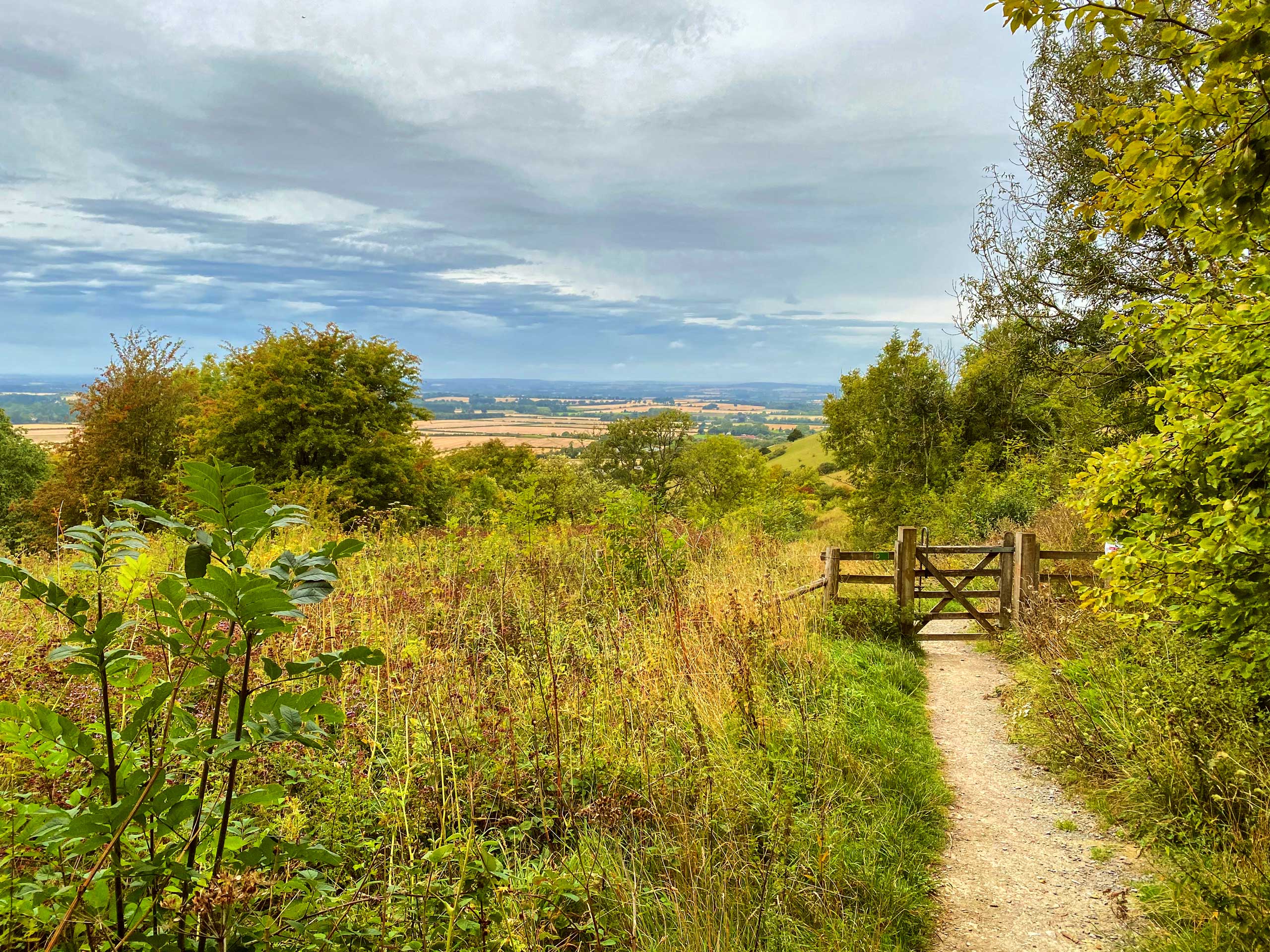 Walking trail and fence gate Ibstone and Stokenchurch Loop