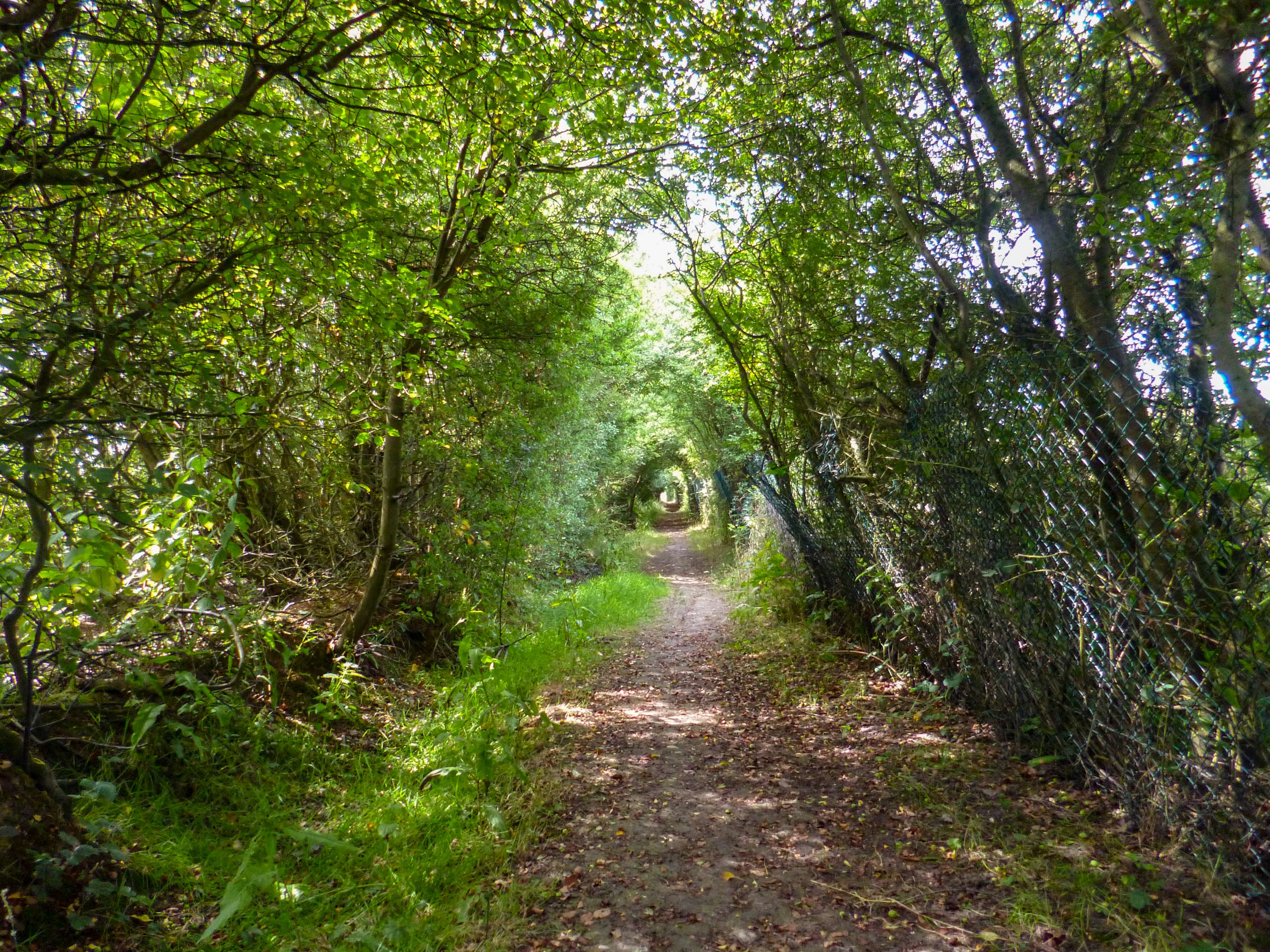 Red Lion Water End Walk