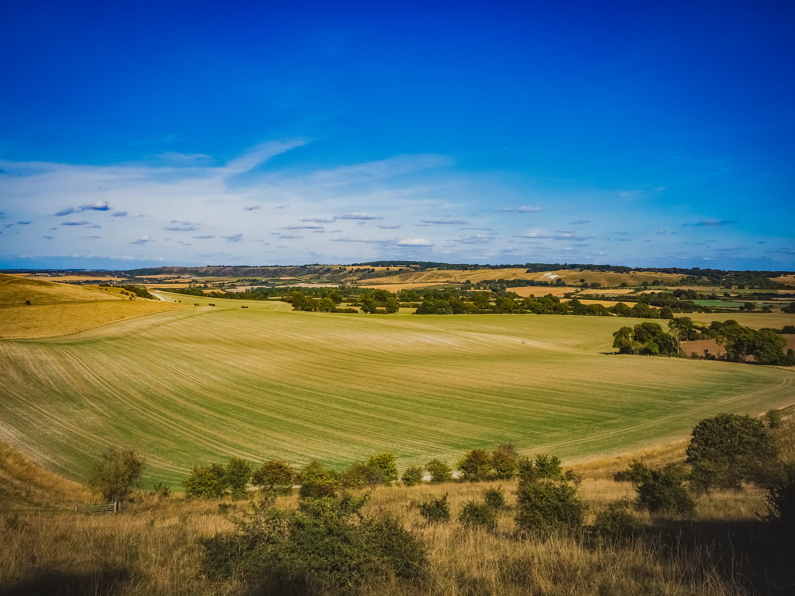 Fields as far as the eye can see Ivinghoe Beacon UK