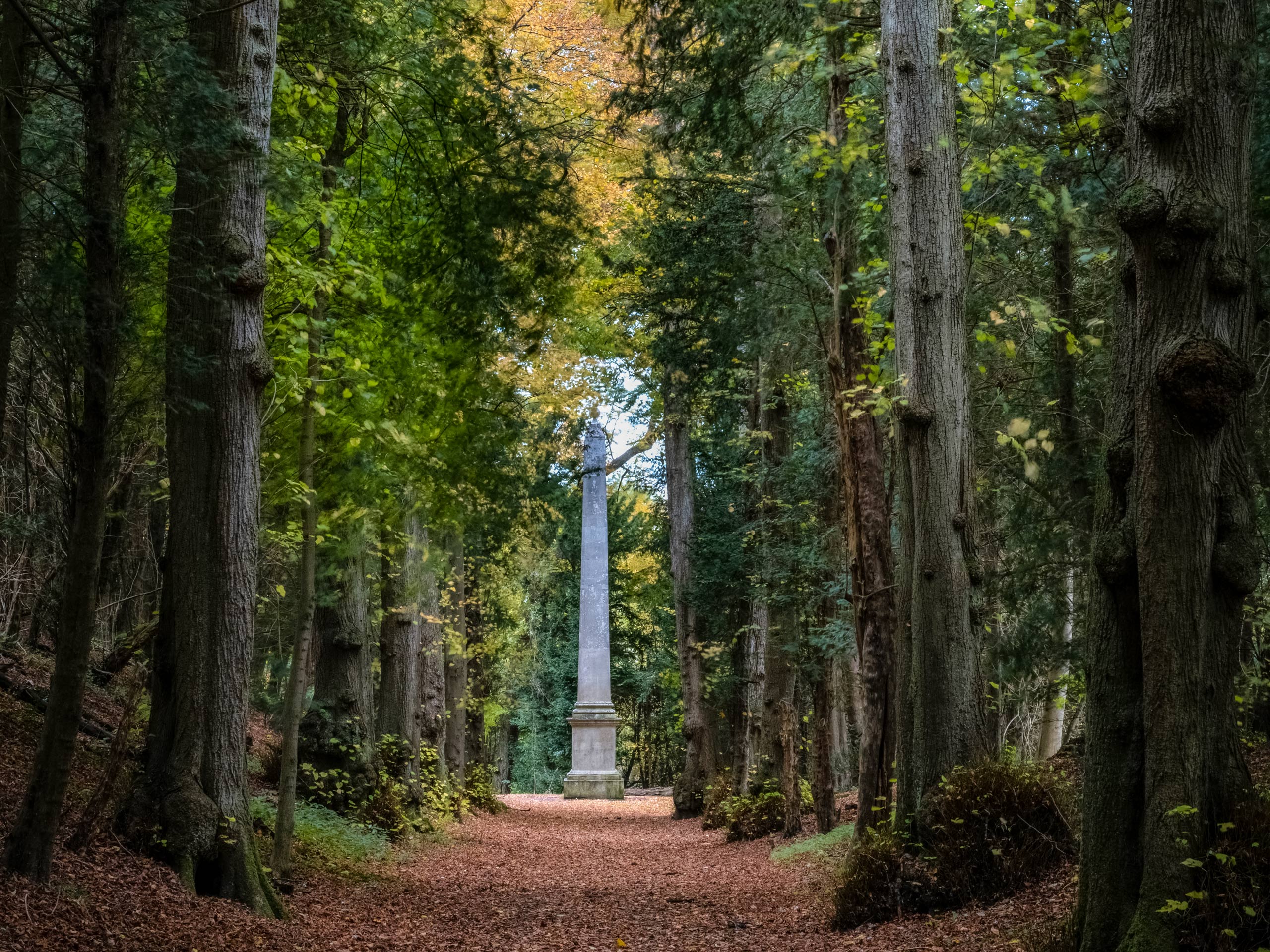 Obelisk Tring Park Woodland Trust Fox Road Wigginton Tring UK