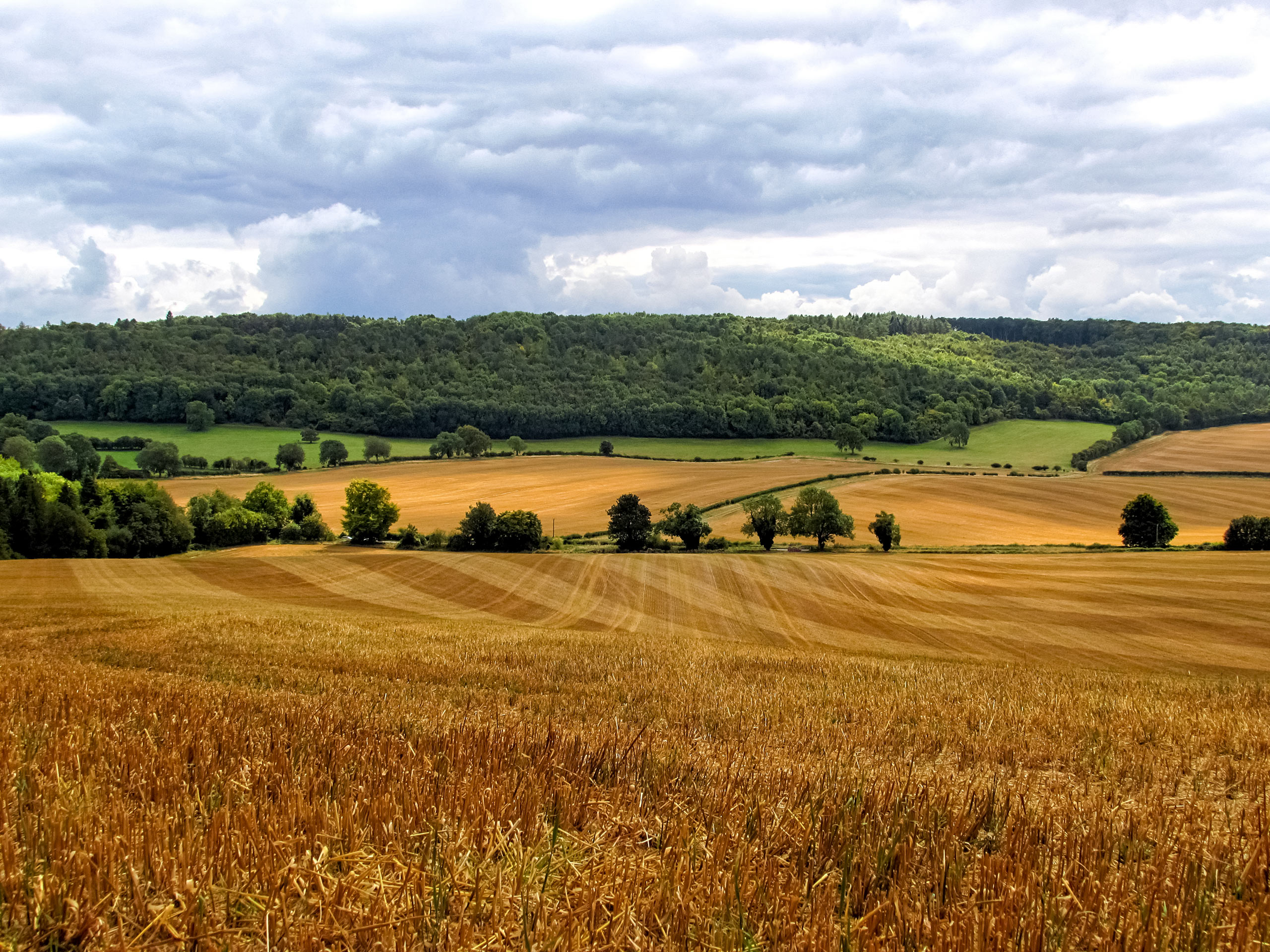 Sprawling har fields seen along Wendover Woods Walk Chiterns UK